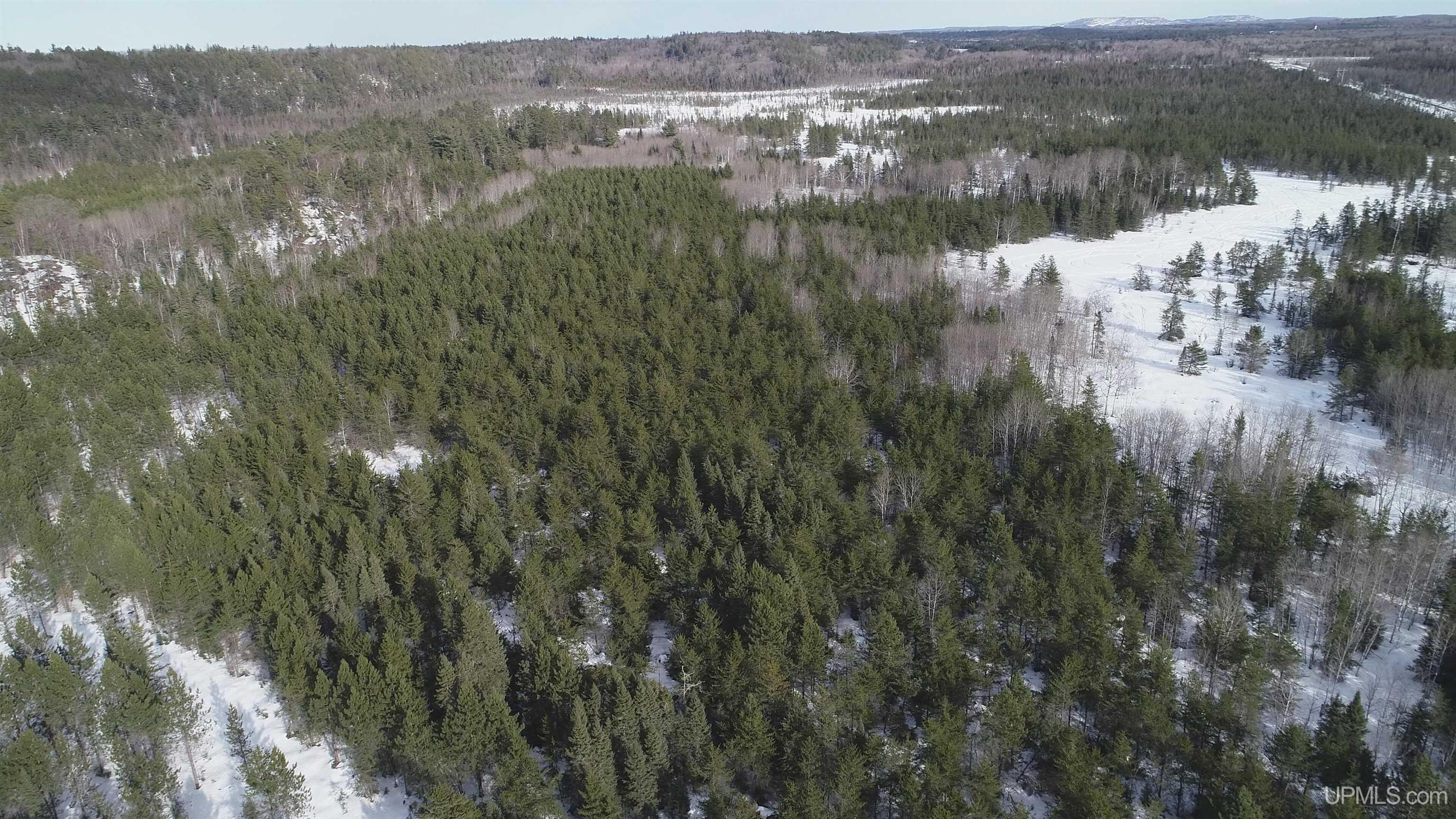 40 Acres Off County Cv Road, Champion, MI, 49814