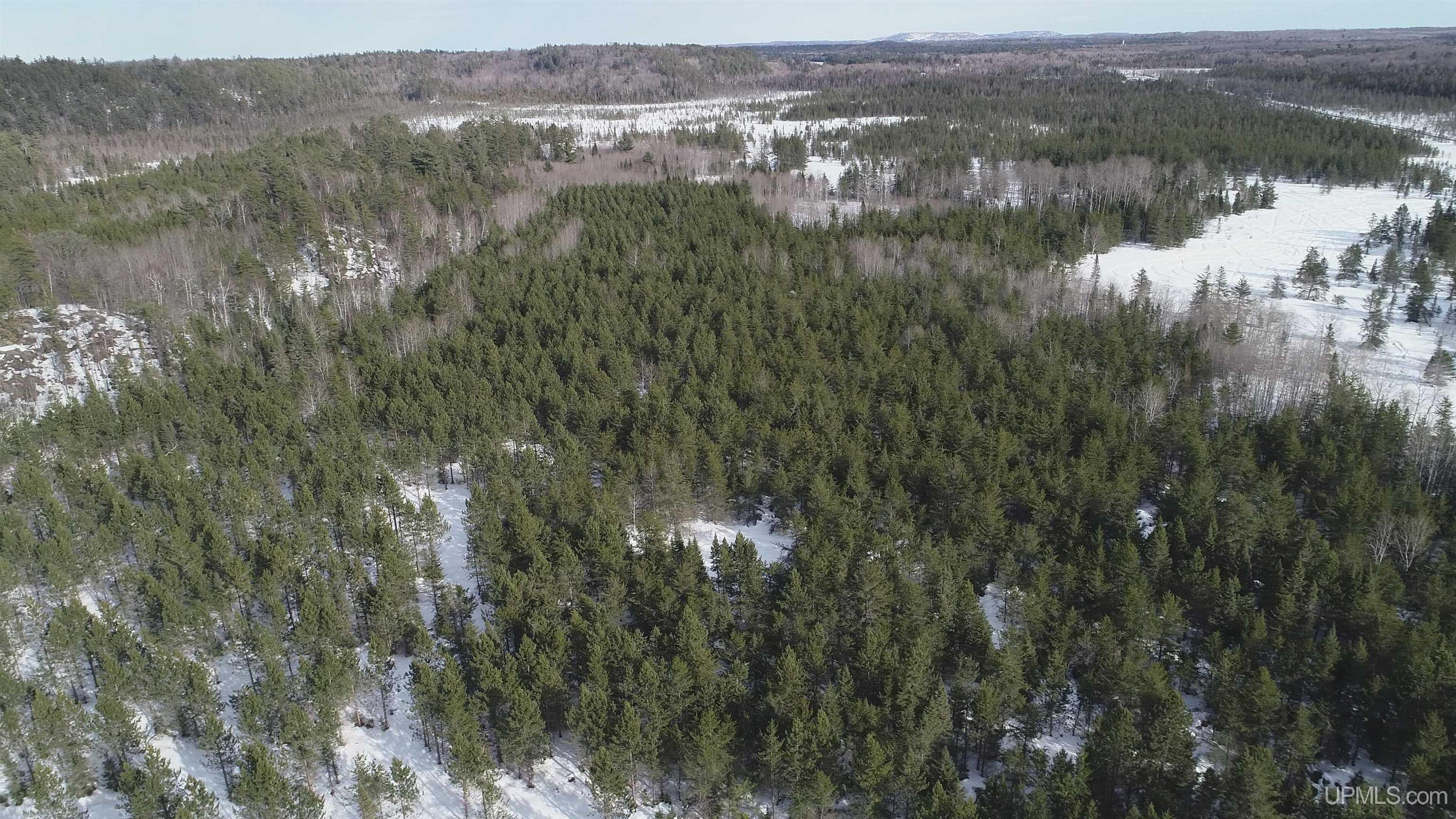 40 Acres Off County Cv Road, Champion, MI, 49814