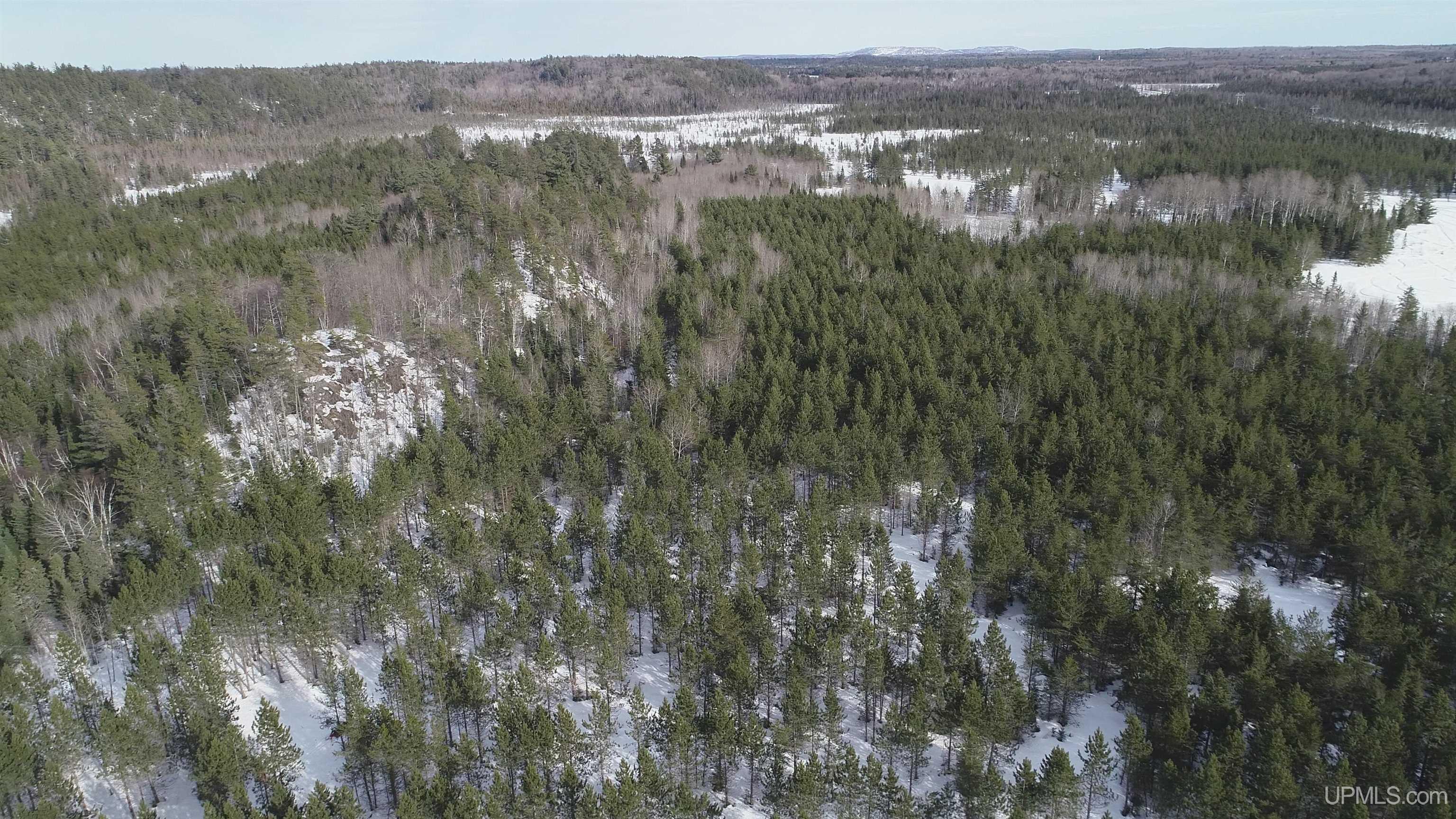 40 Acres Off County Cv Road, Champion, MI, 49814