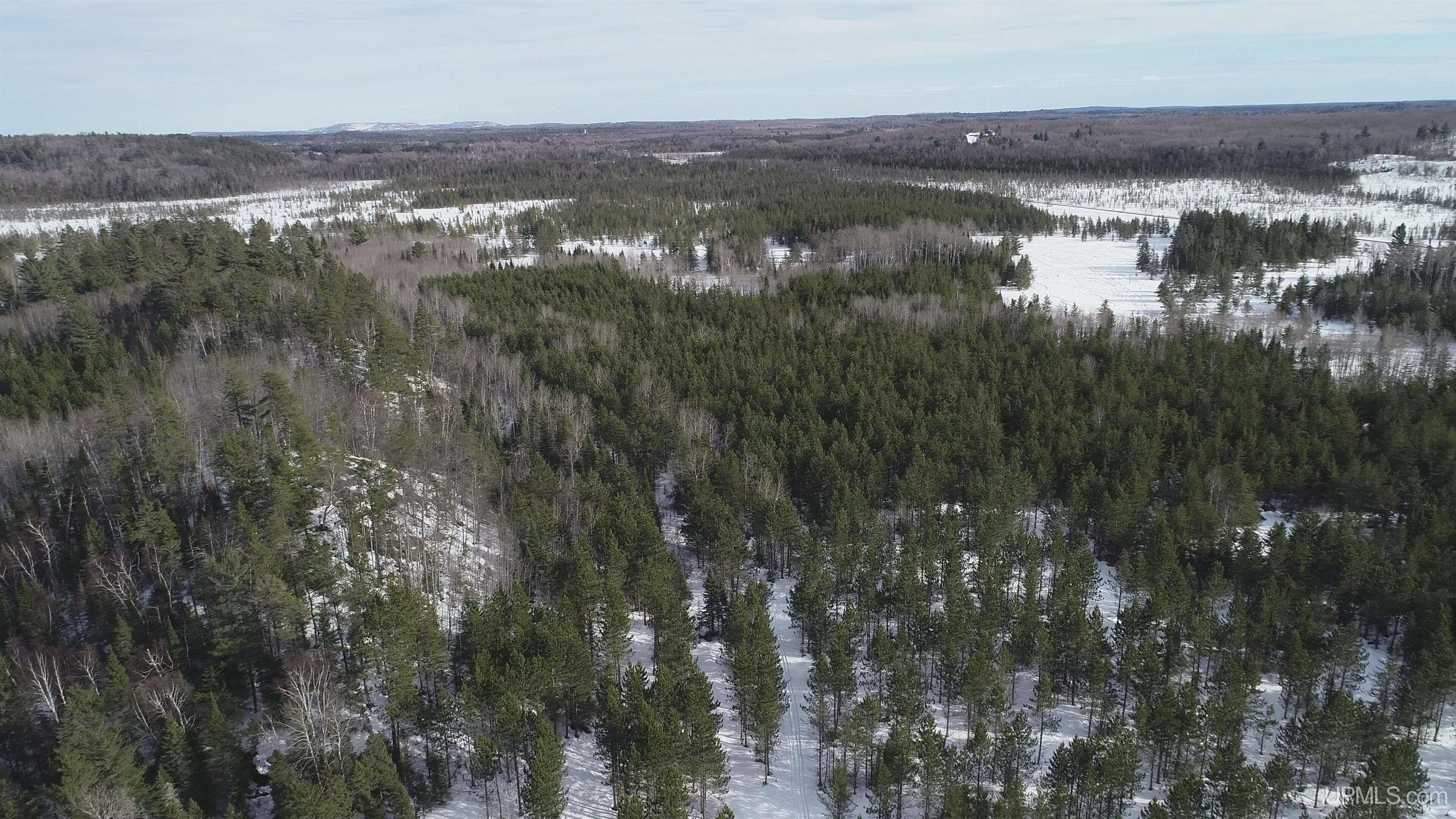 40 Acres Off County Cv Road, Champion, MI, 49814