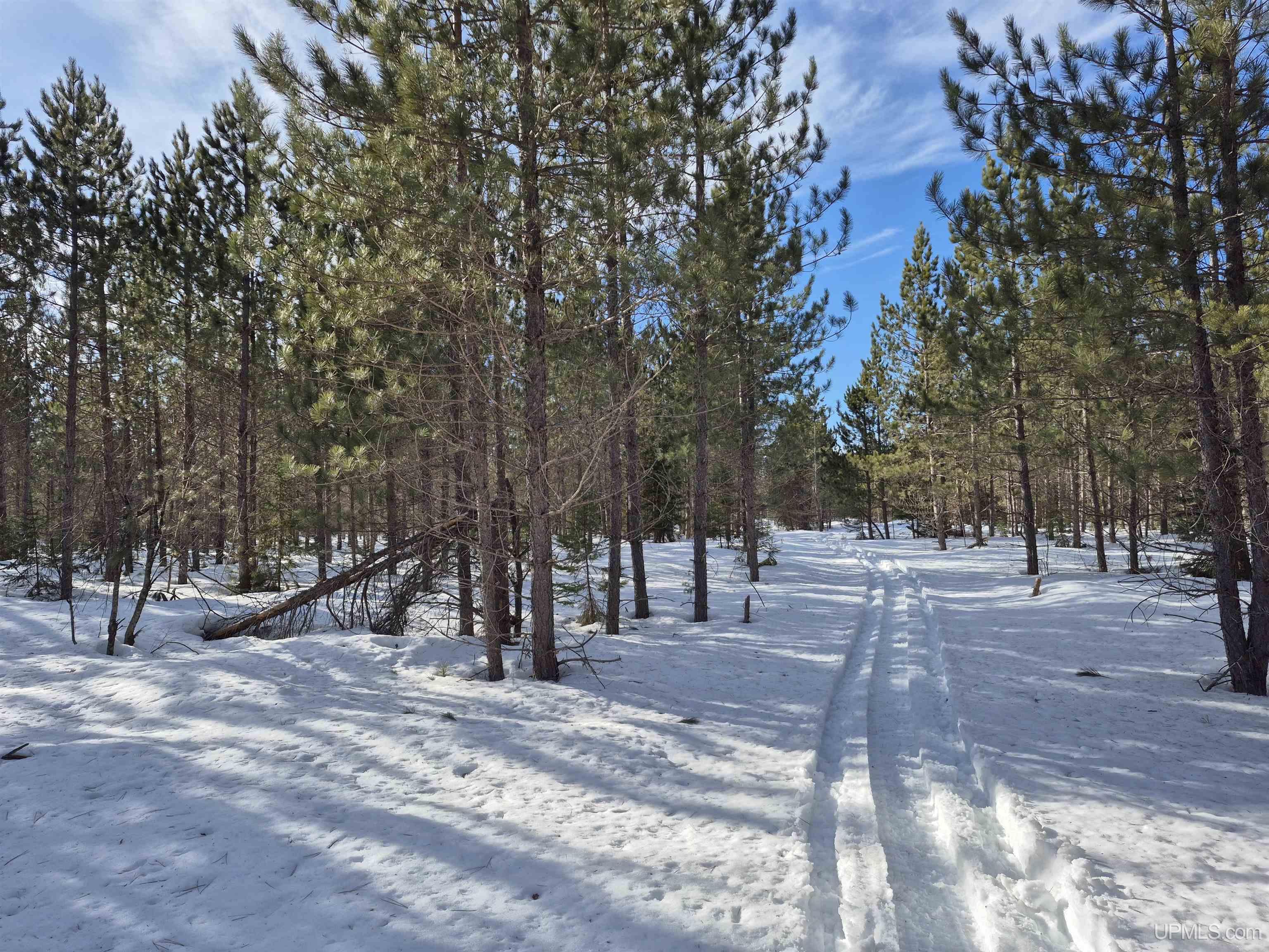 40 Acres Off County Cv Road, Champion, MI, 49814