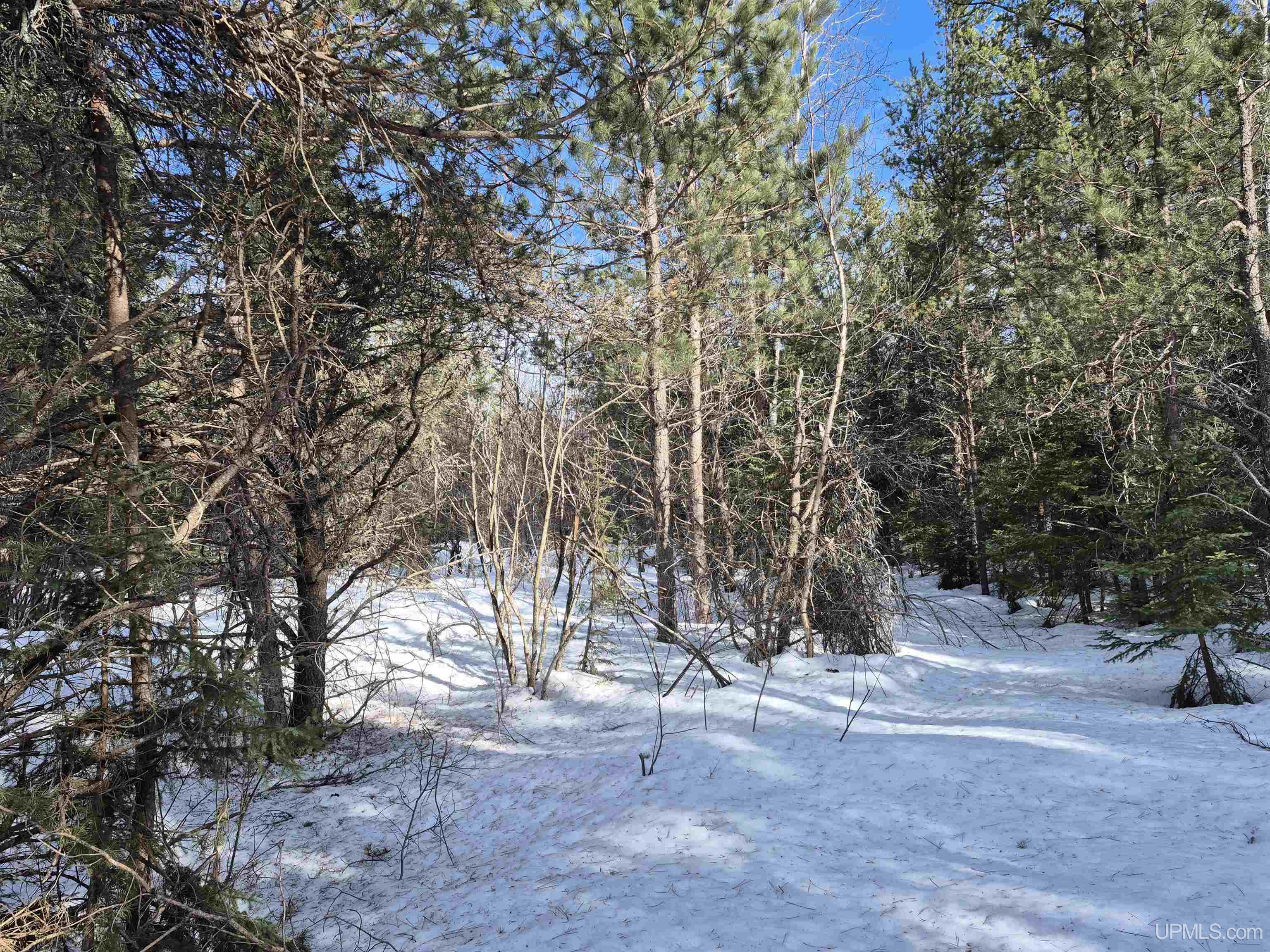 40 Acres Off County Cv Road, Champion, MI, 49814