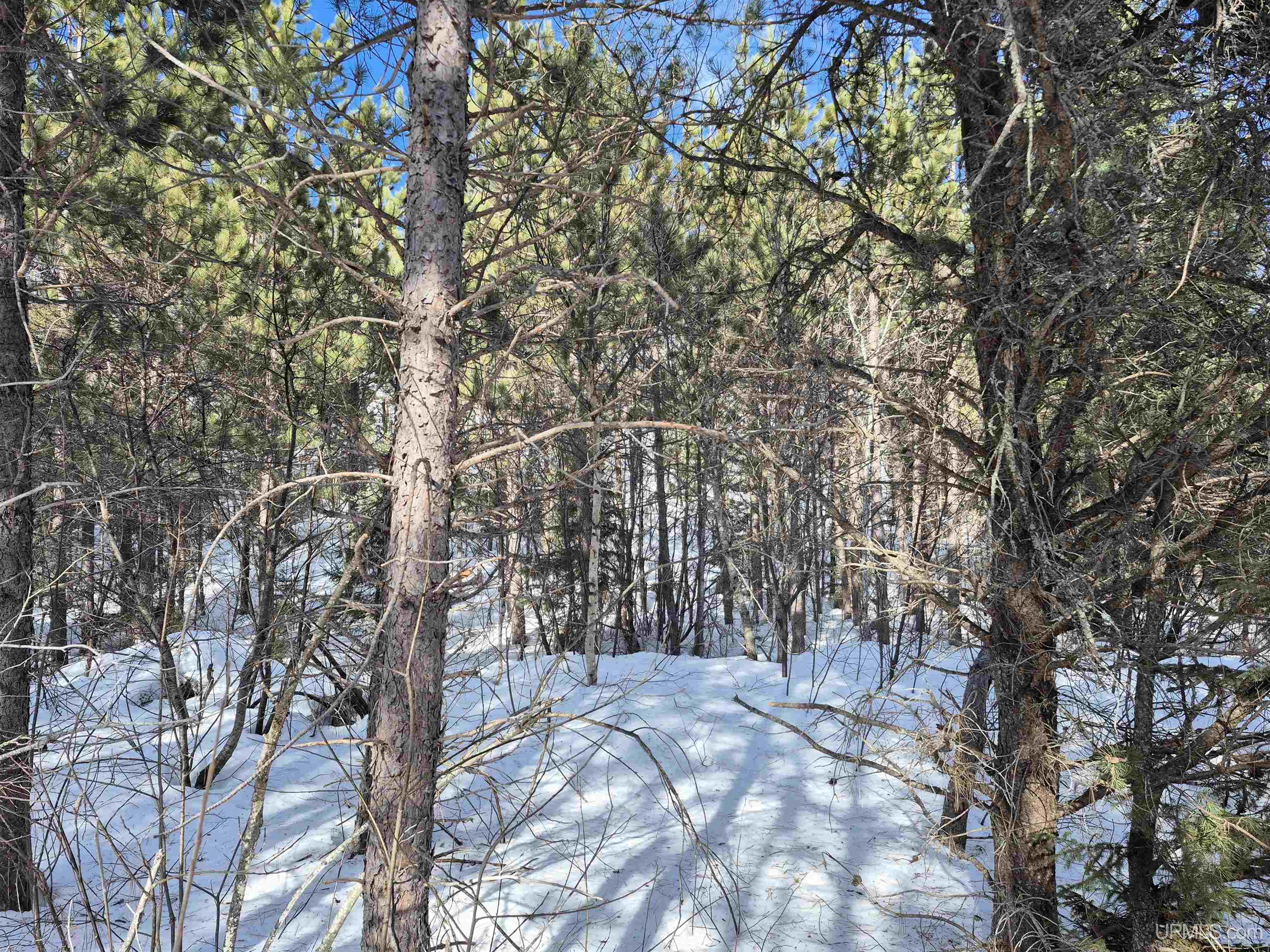 40 Acres Off County Cv Road, Champion, MI, 49814