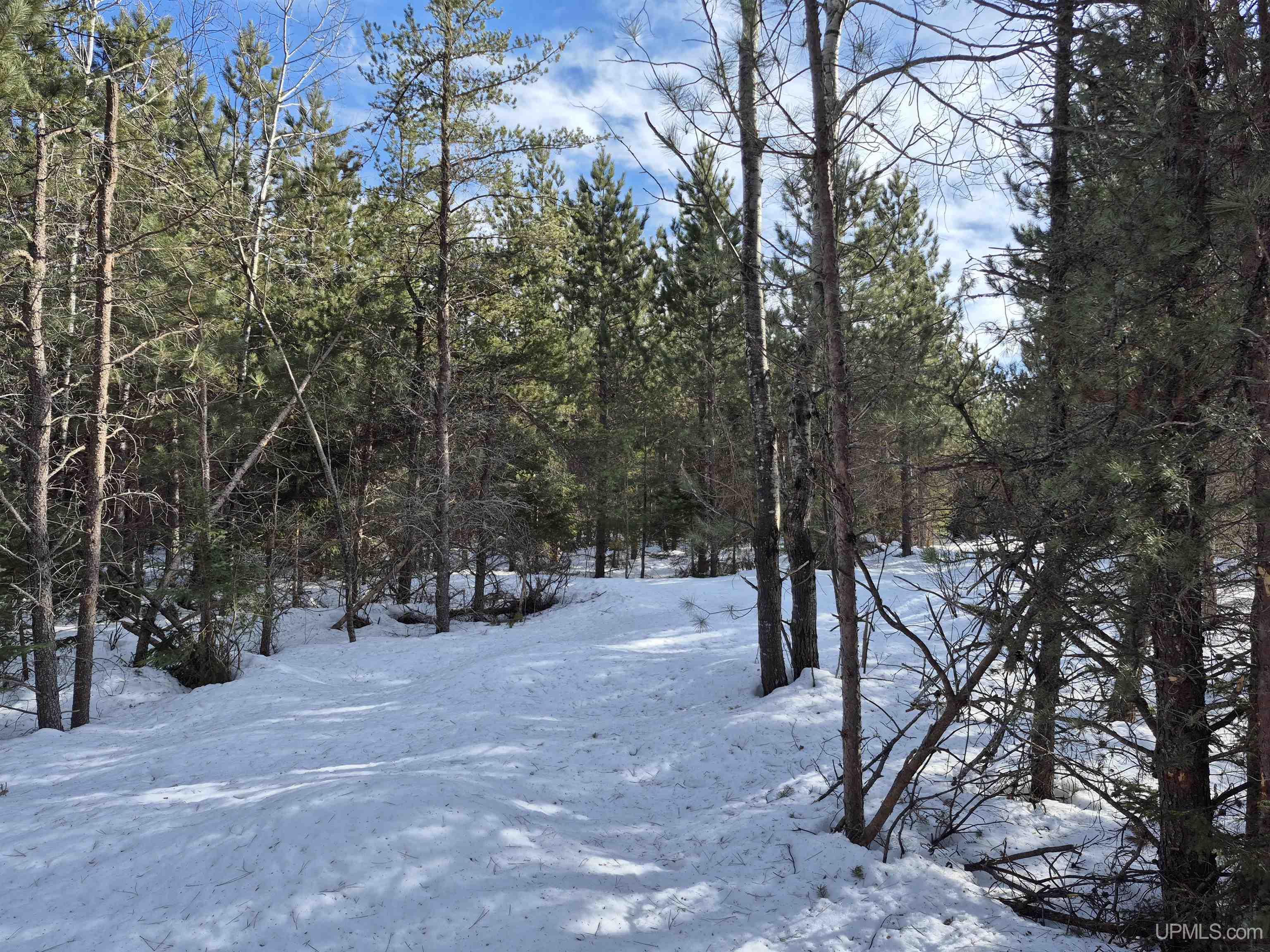 40 Acres Off County Cv Road, Champion, MI, 49814