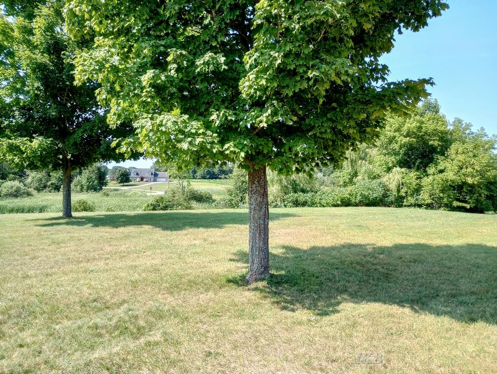 510 Mix Road, Gladwin, MI, 48624