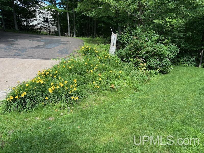 MLS 50202207 Large photo number 67 