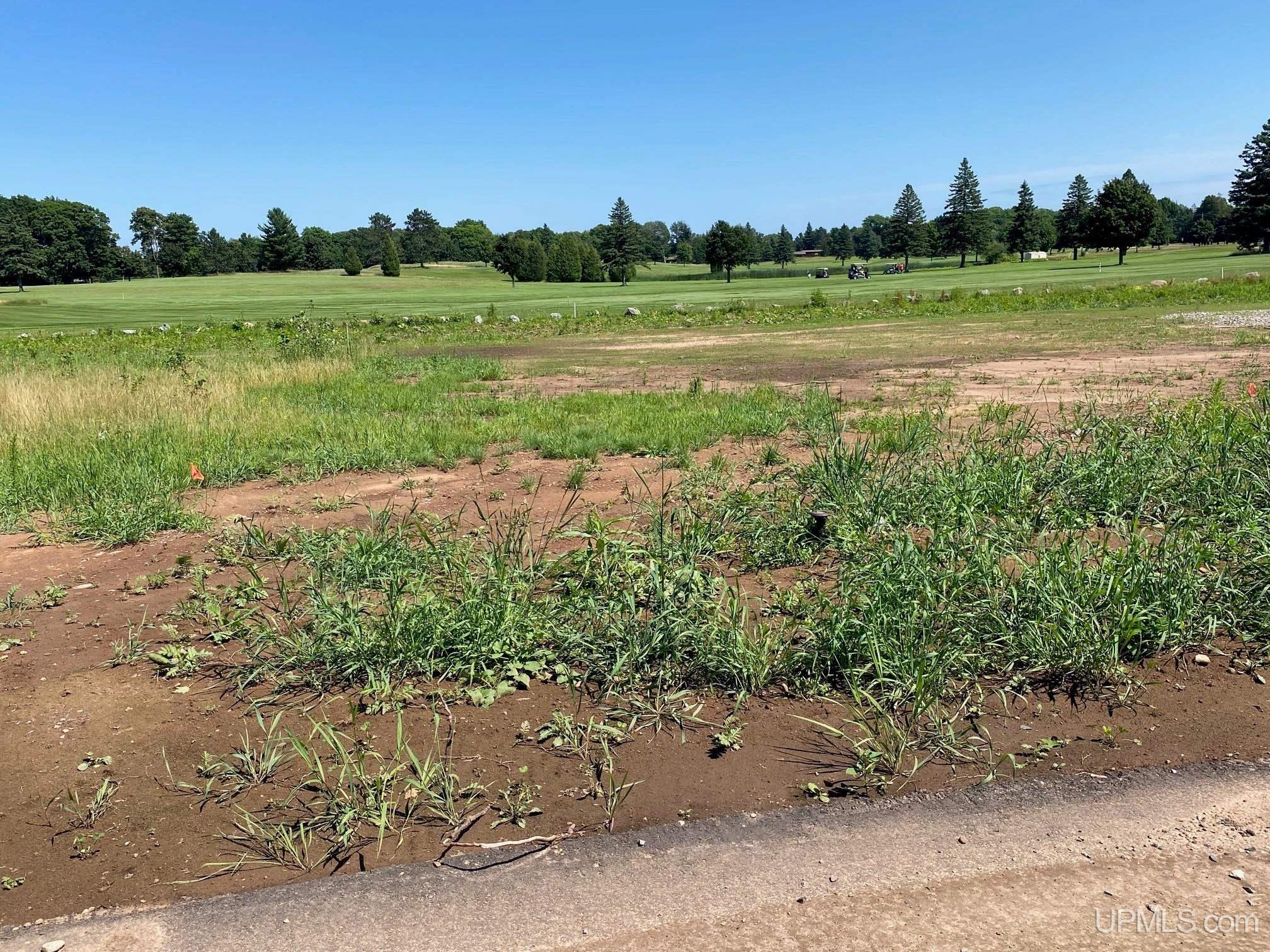N/A Reed Road, Sterling, MI, 48659