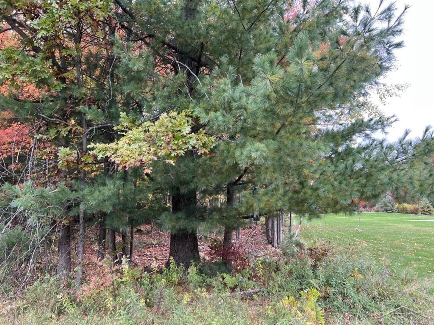 5717 Foxfire Drive, Midland, MI, 48642