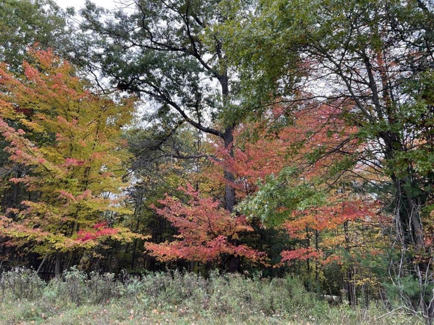 5717 Foxfire Drive, Midland, MI, 48642