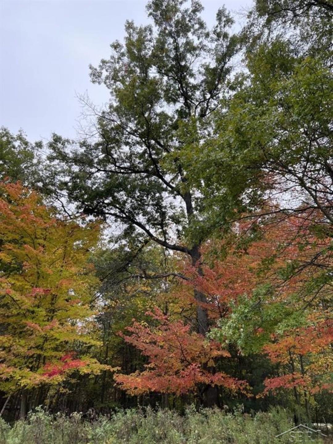 5717 Foxfire Drive, Midland, MI, 48642