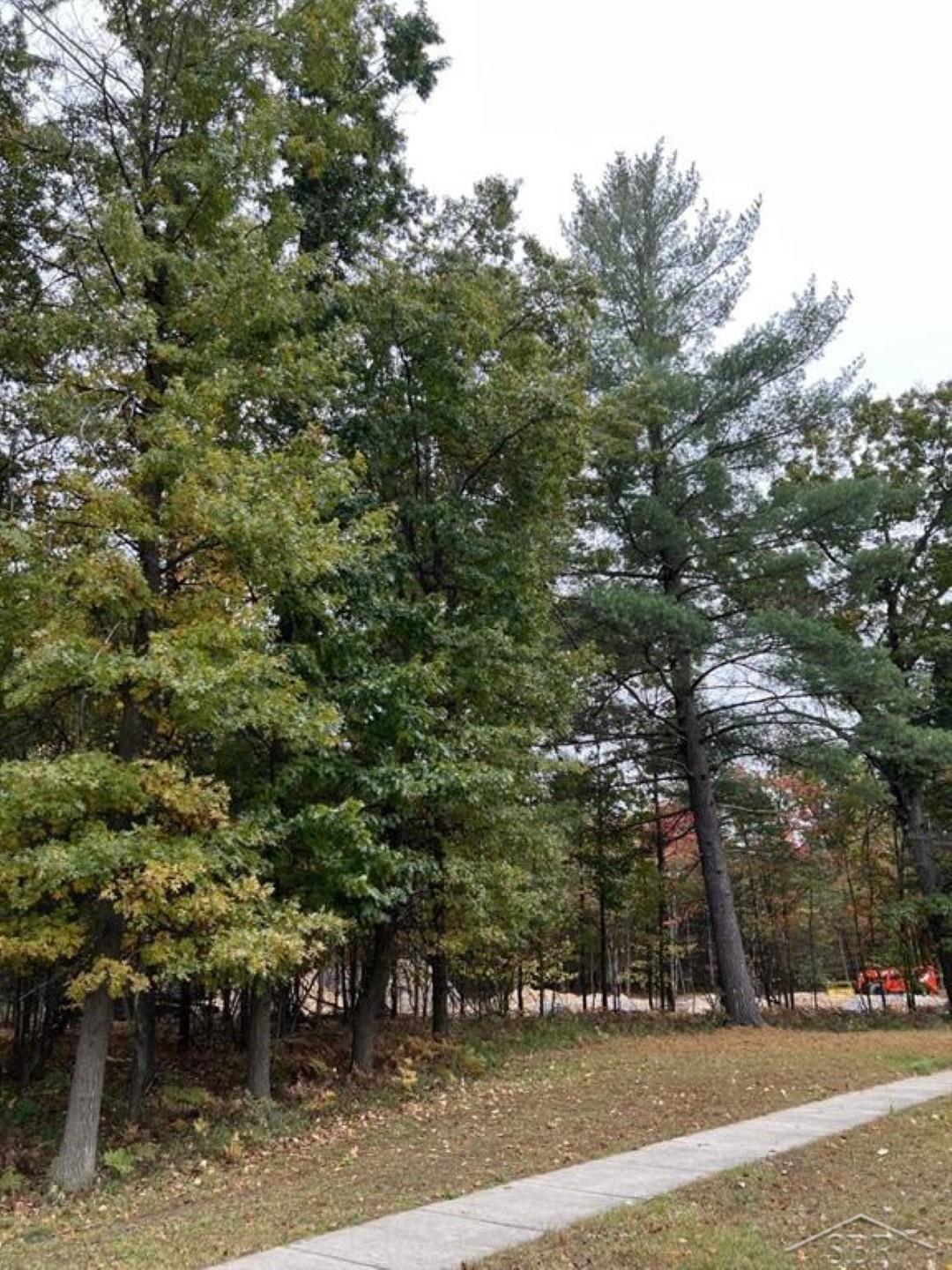 5717 Foxfire Drive, Midland, MI, 48642