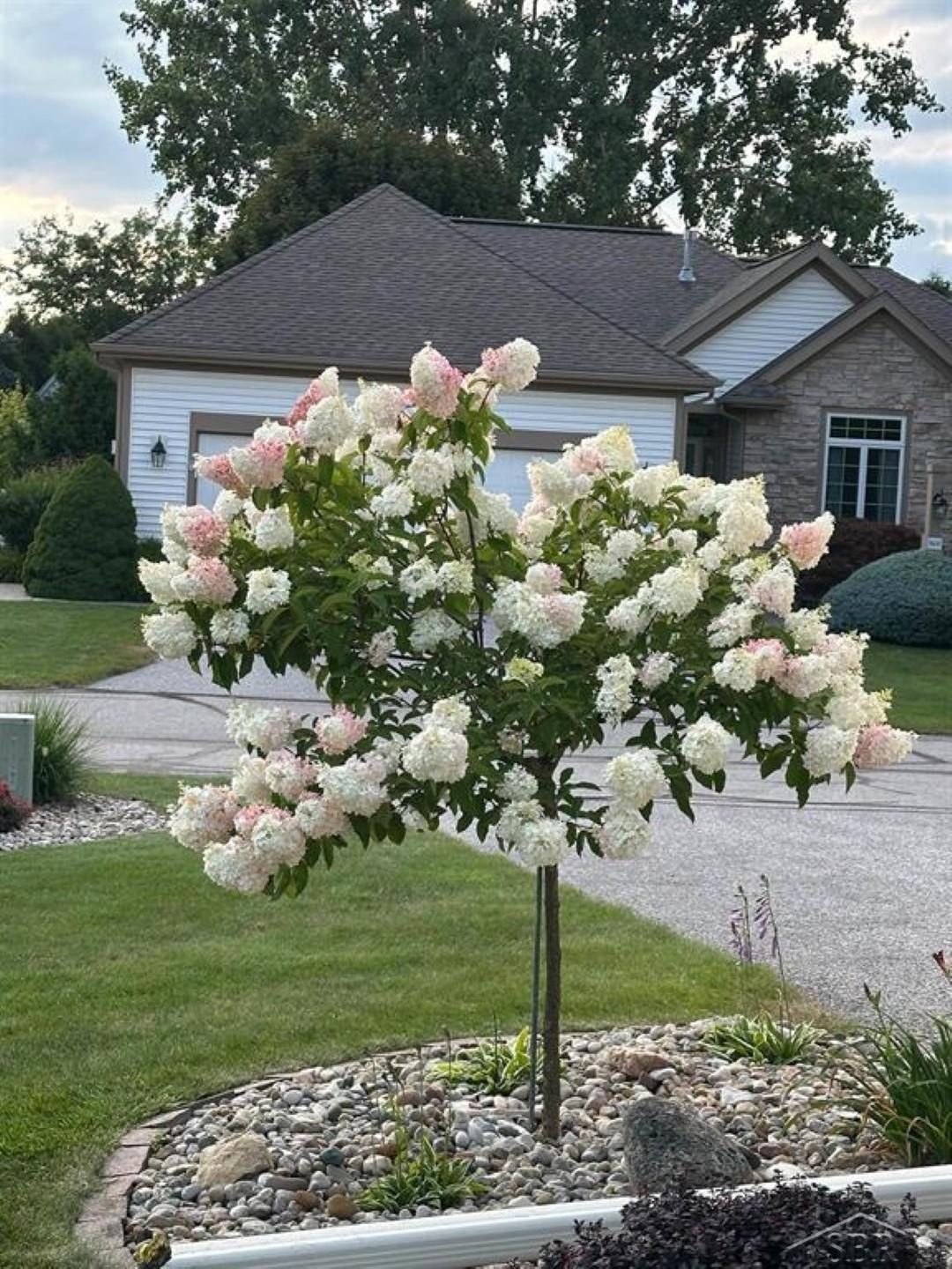 5603 Firethorne Drive, Bay City, MI, 48706