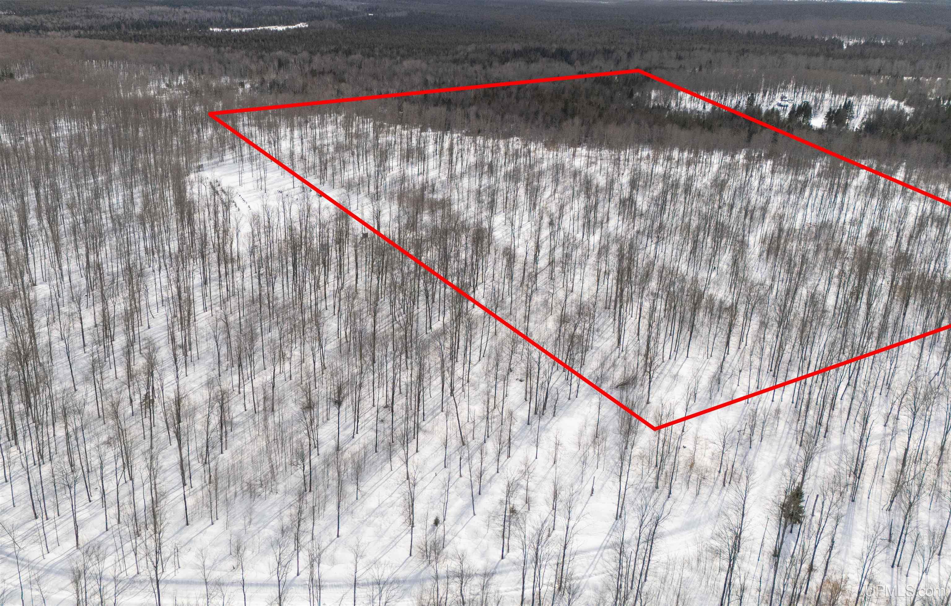 Camp 23 Road, Germfask, MI, 49836