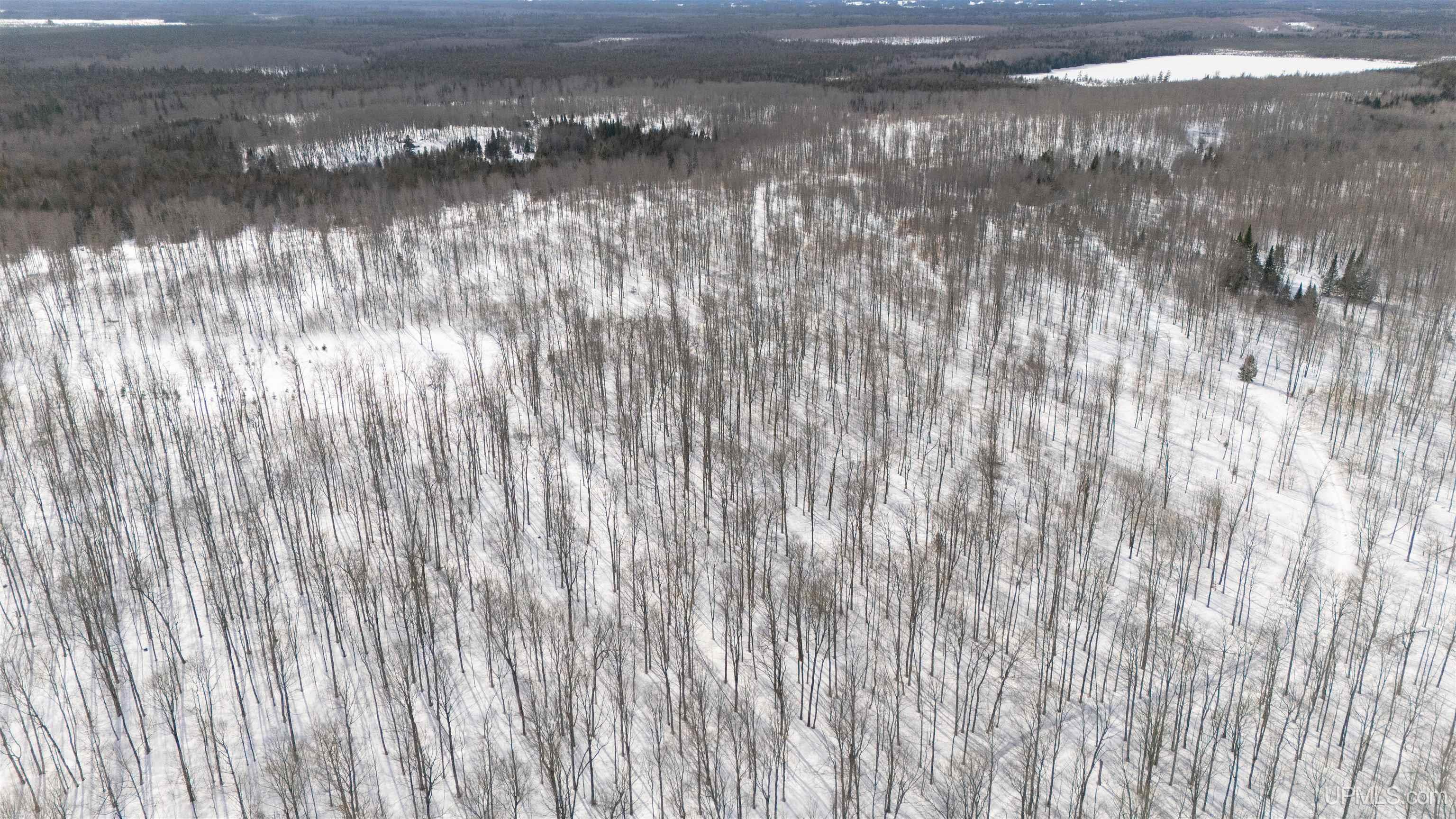 Camp 23 Road, Germfask, MI, 49836