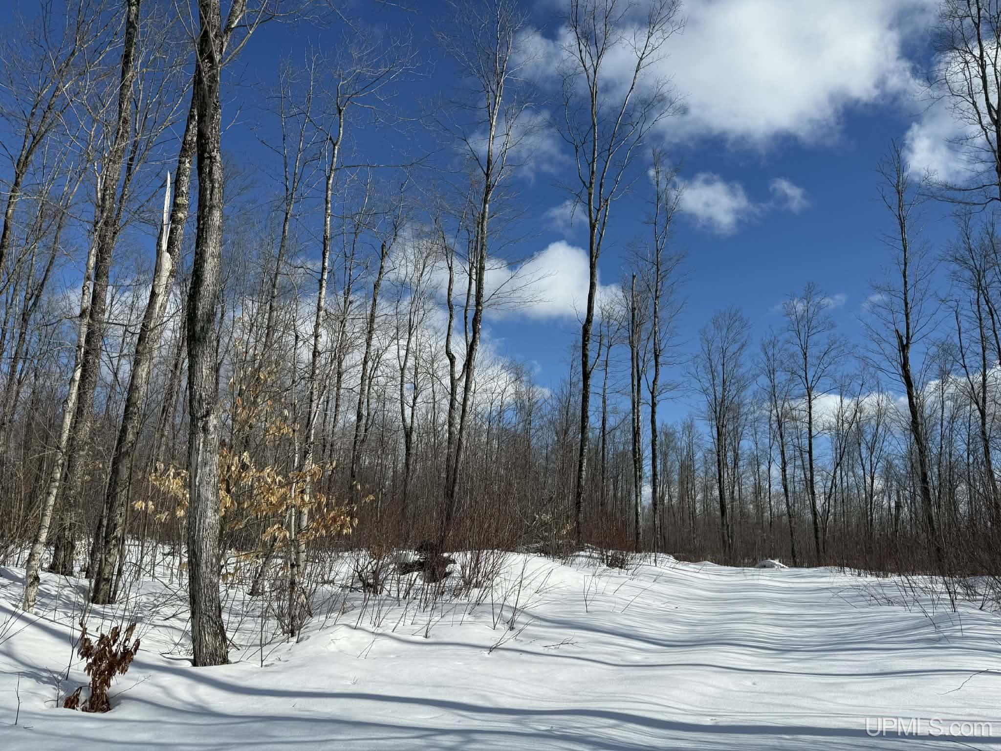 Camp 23 Road, Germfask, MI, 49836