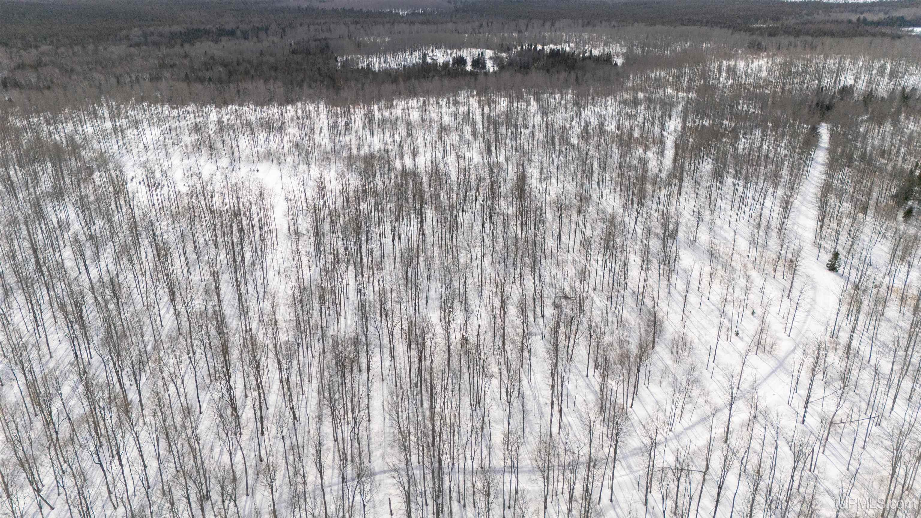 Camp 23 Road, Germfask, MI, 49836