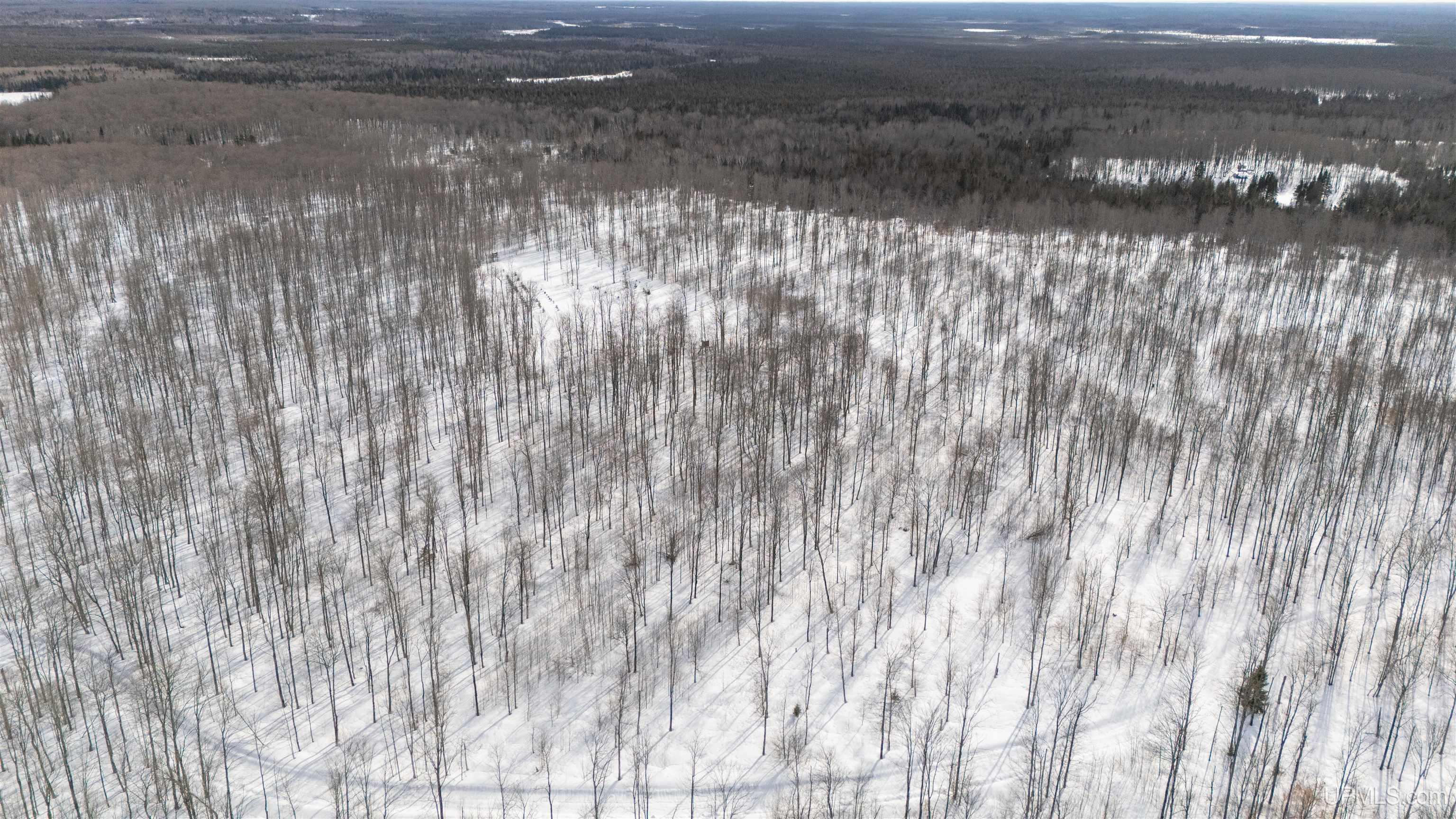 Camp 23 Road, Germfask, MI, 49836