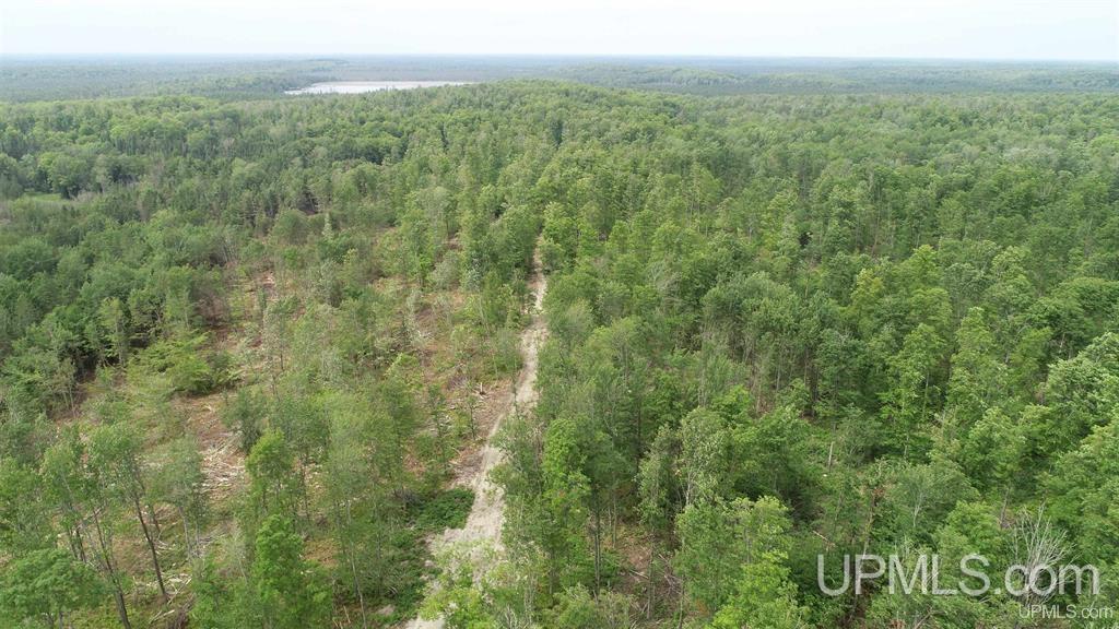 Camp 23 Road, Germfask, MI, 49836