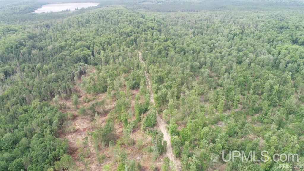 Camp 23 Road, Germfask, MI, 49836