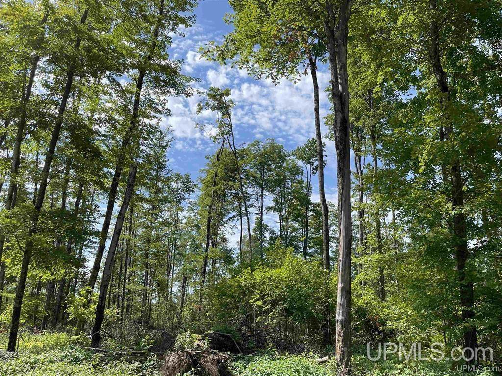 Camp 23 Road, Germfask, MI, 49836