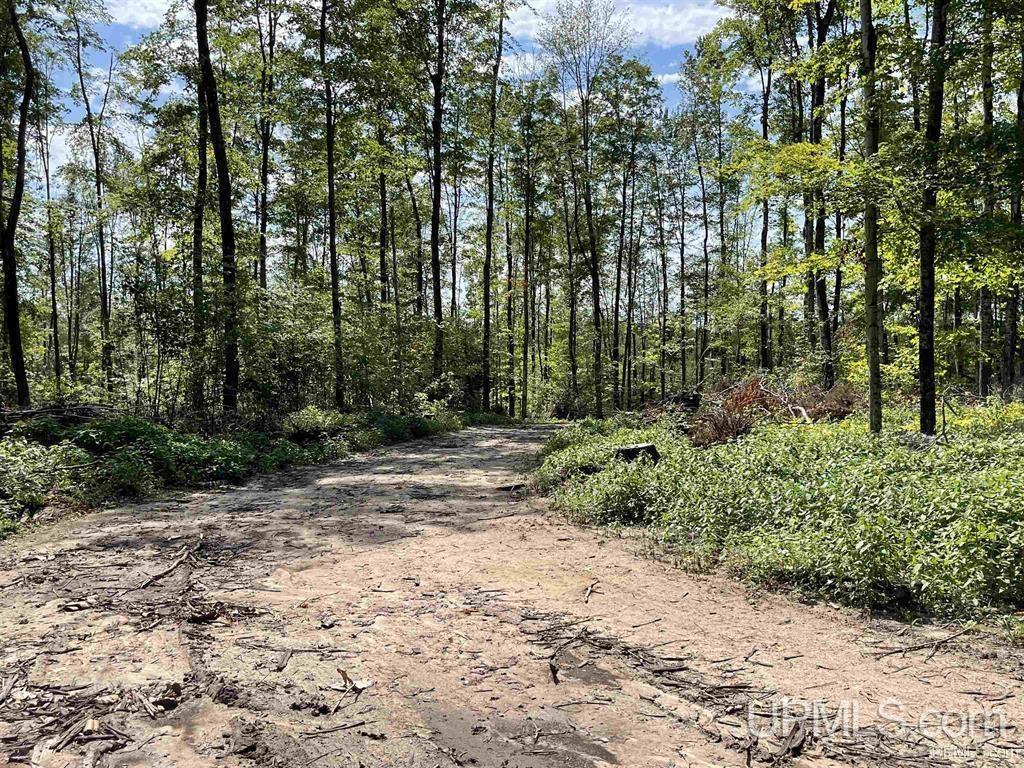 Camp 23 Road, Germfask, MI, 49836