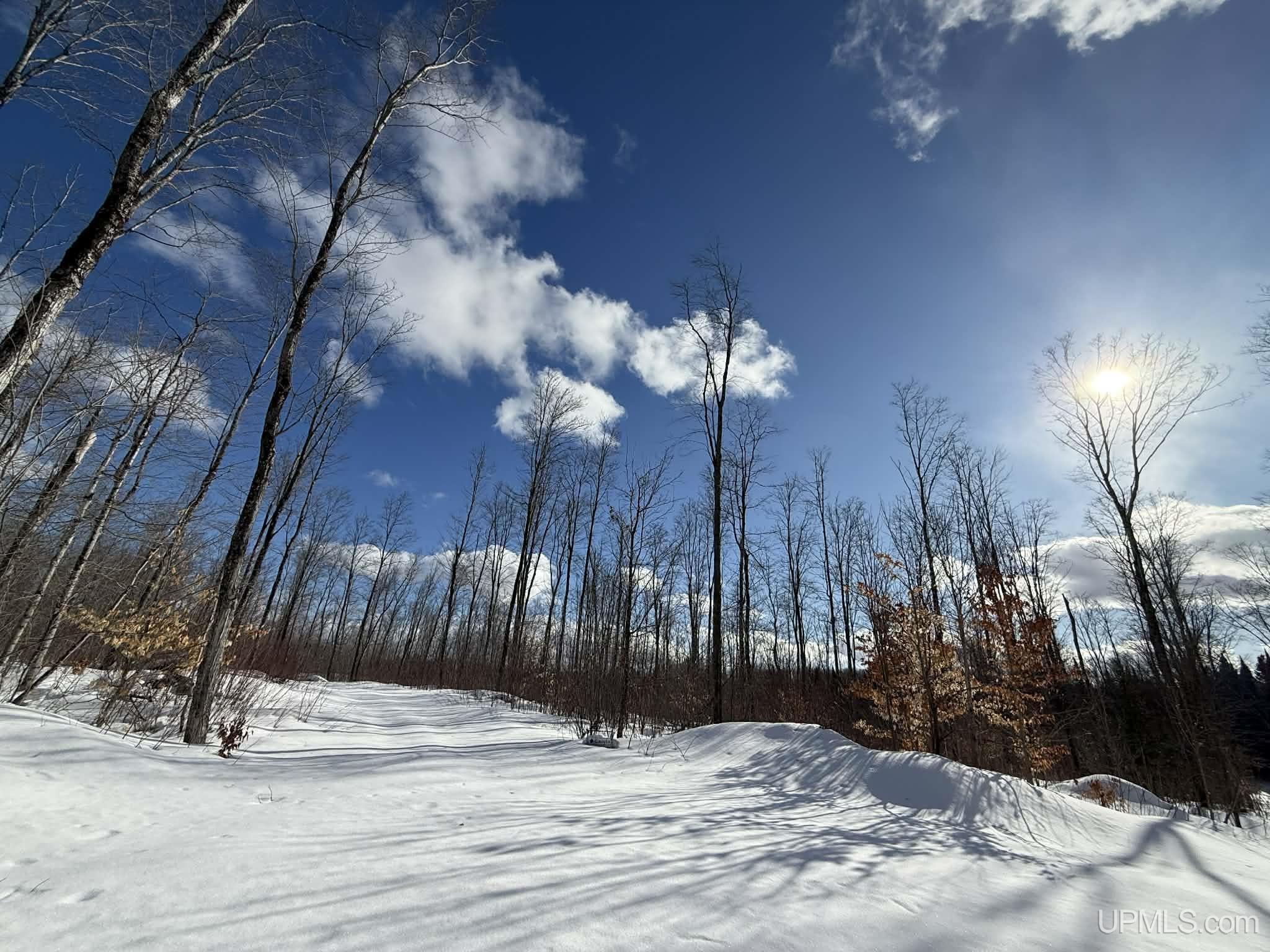 Camp 23 Road, Germfask, MI, 49836