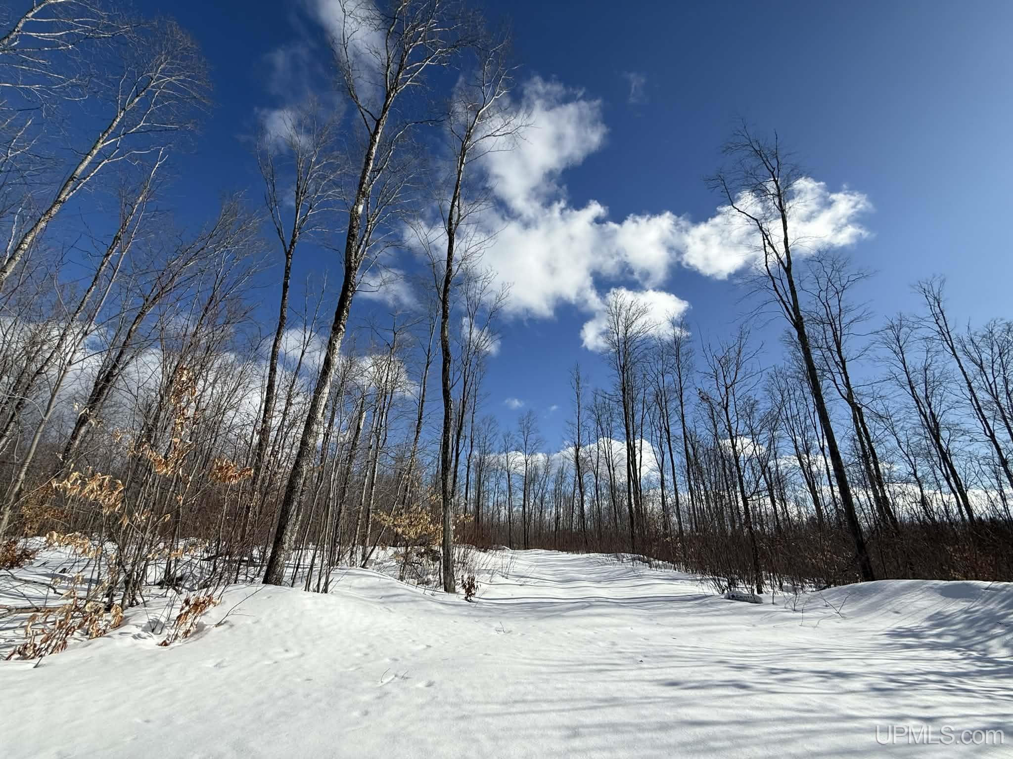 Camp 23 Road, Germfask, MI, 49836