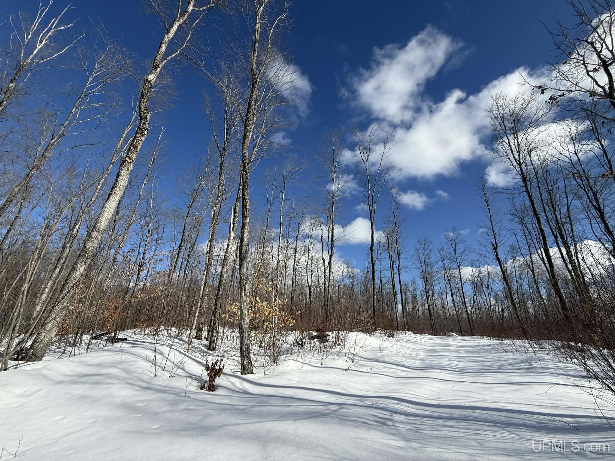 Camp 23 Road, Germfask, MI, 49836