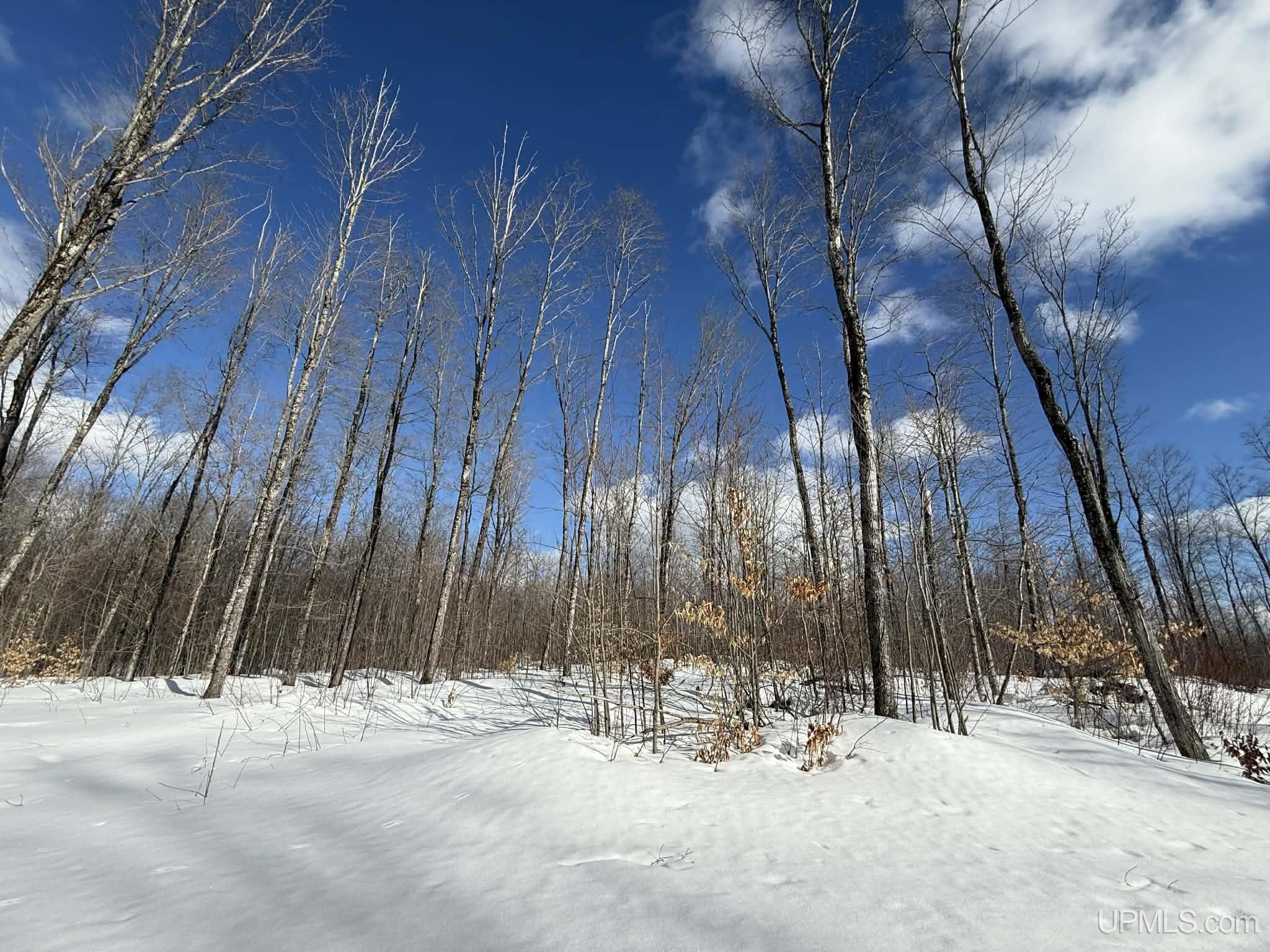 Camp 23 Road, Germfask, MI, 49836