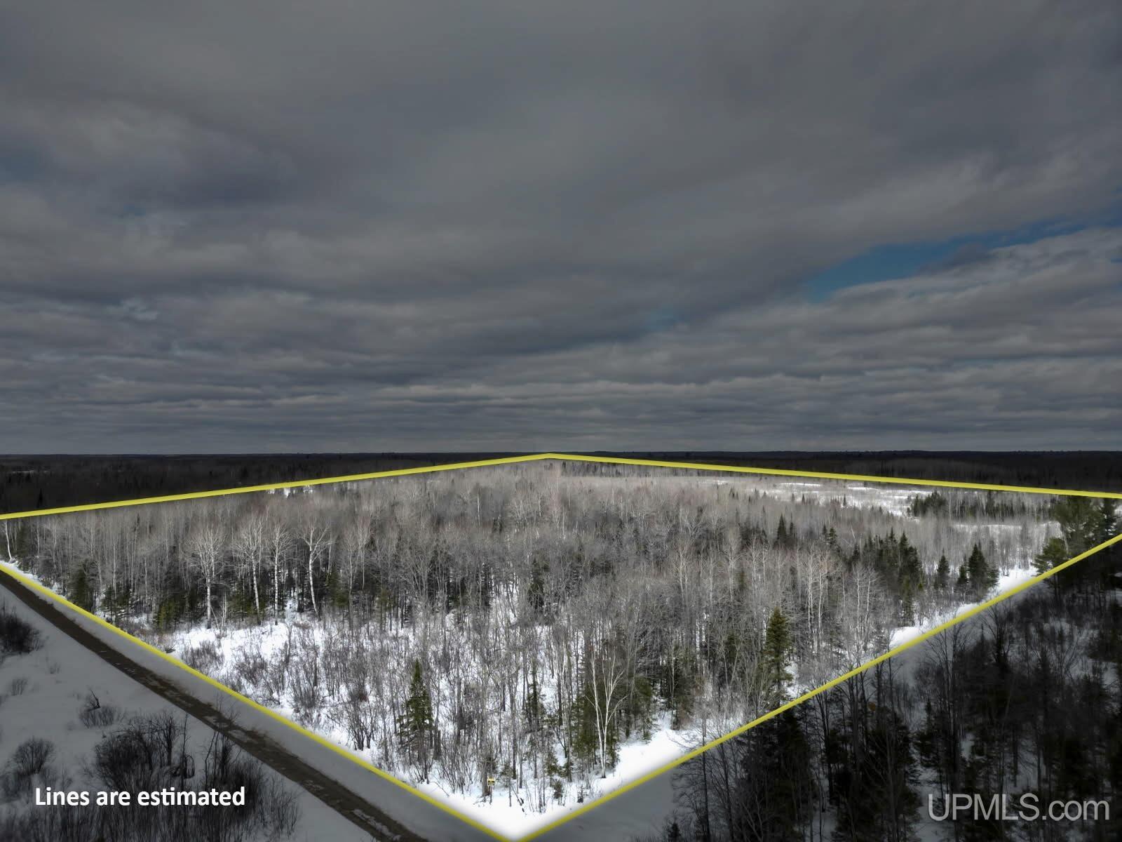 TBD N Rock 38th Rd Se 40 Road, Rock, MI, 49880