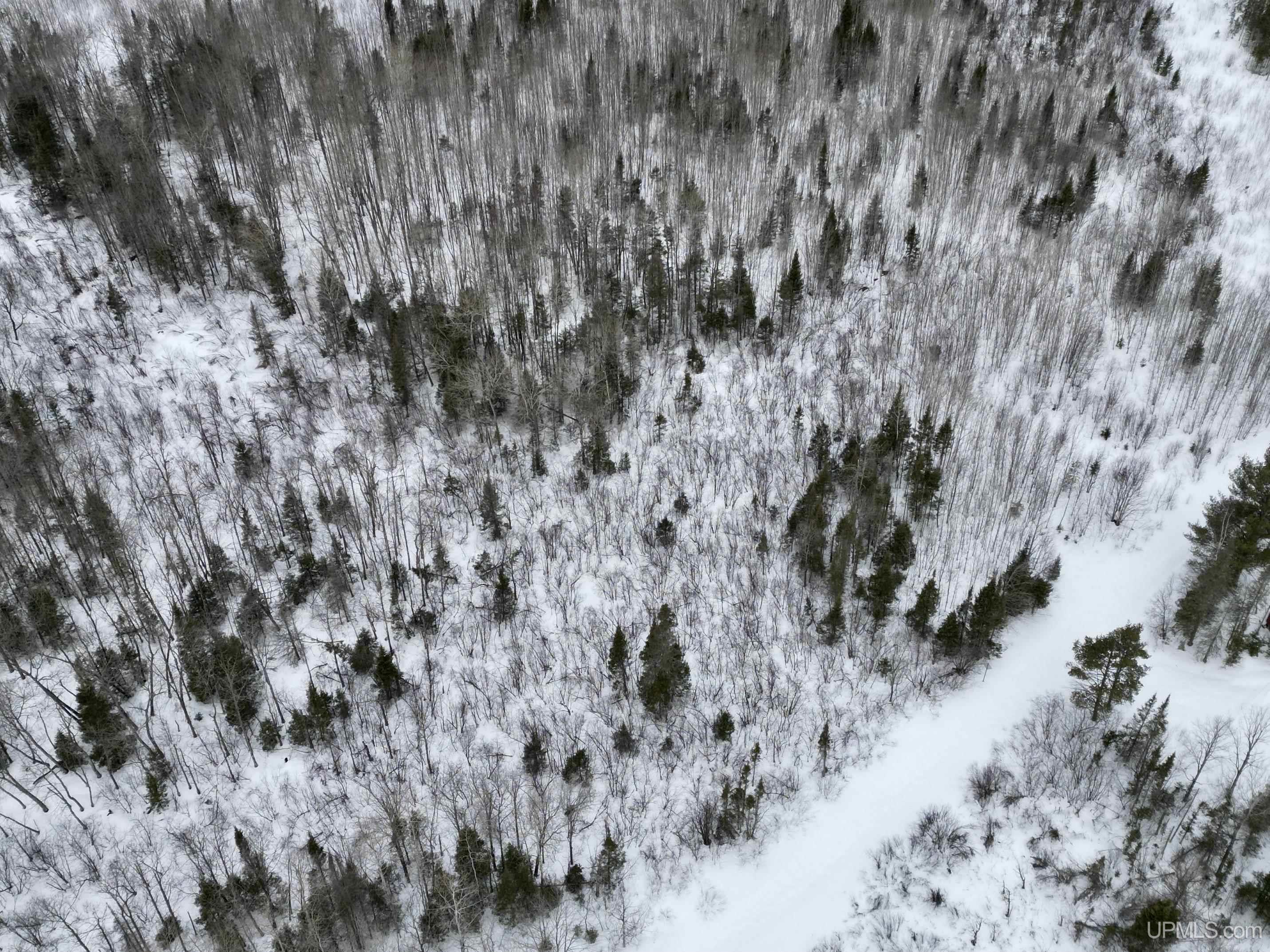 TBD N Rock 38th Rd Se 40 Road, Rock, MI, 49880