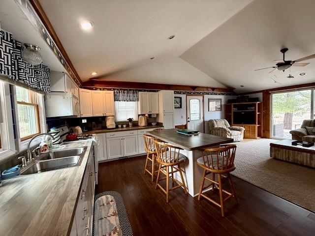 4527 River Lane Street, Alger, MI, 48610