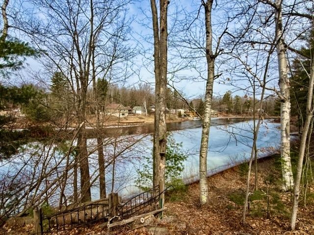 4527 River Lane Street, Alger, MI, 48610