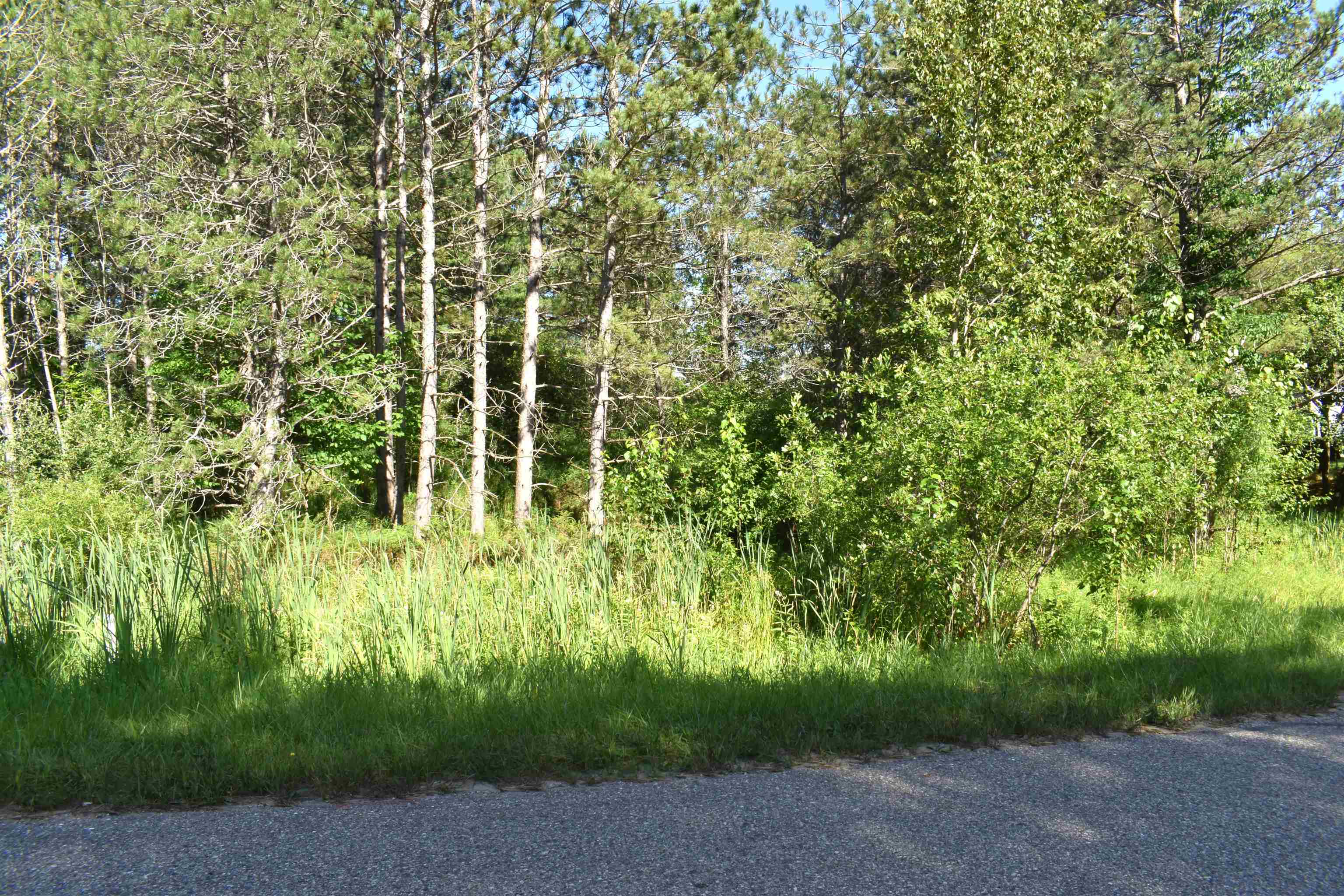 Our Listing Properties