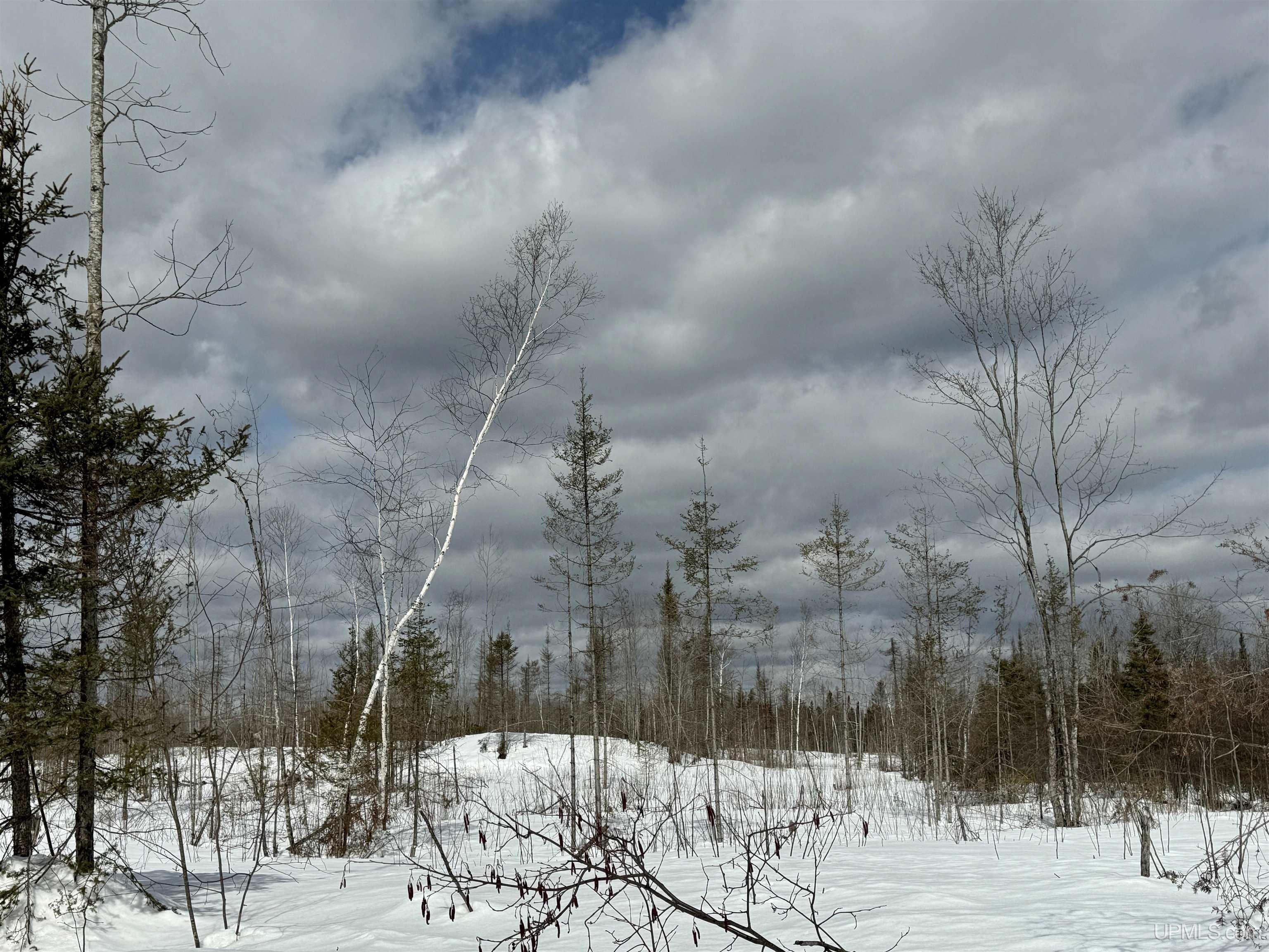 TBD N Rock 38th Rd Sw 40 Road, Rock, MI, 49880