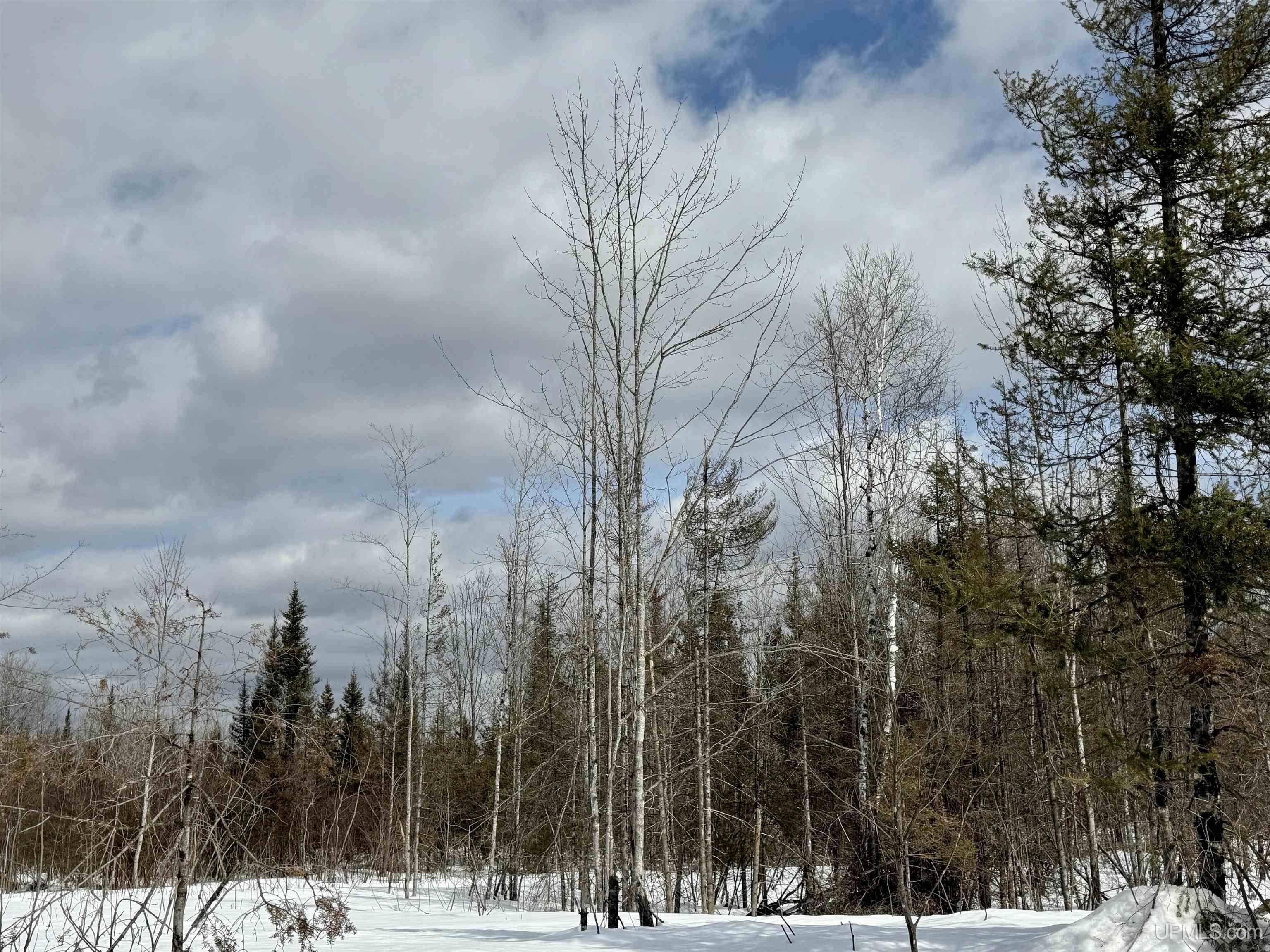 TBD N Rock 38th Rd Sw 40 Road, Rock, MI, 49880