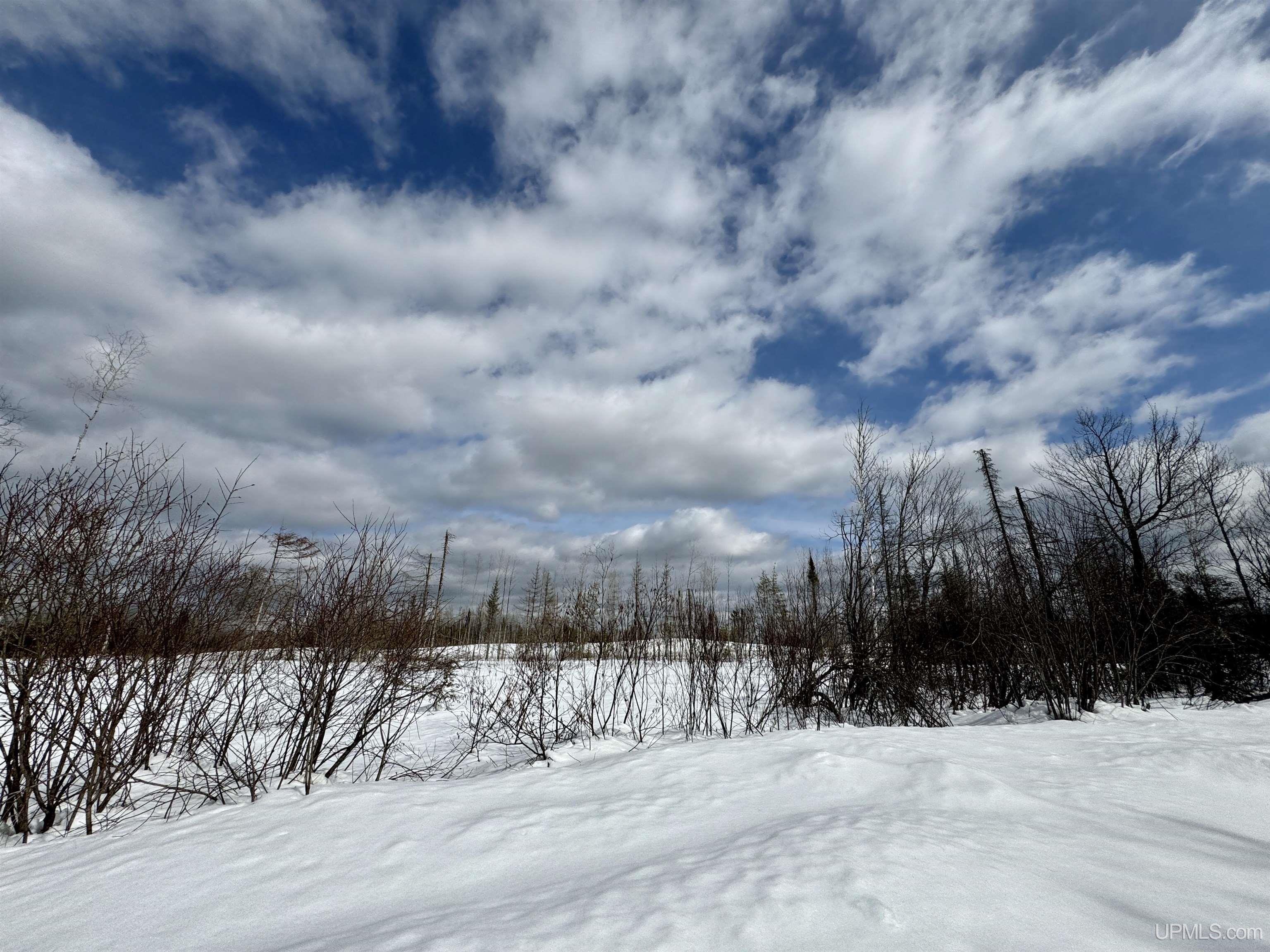 TBD N Rock 38th Rd Sw 40 Road, Rock, MI, 49880