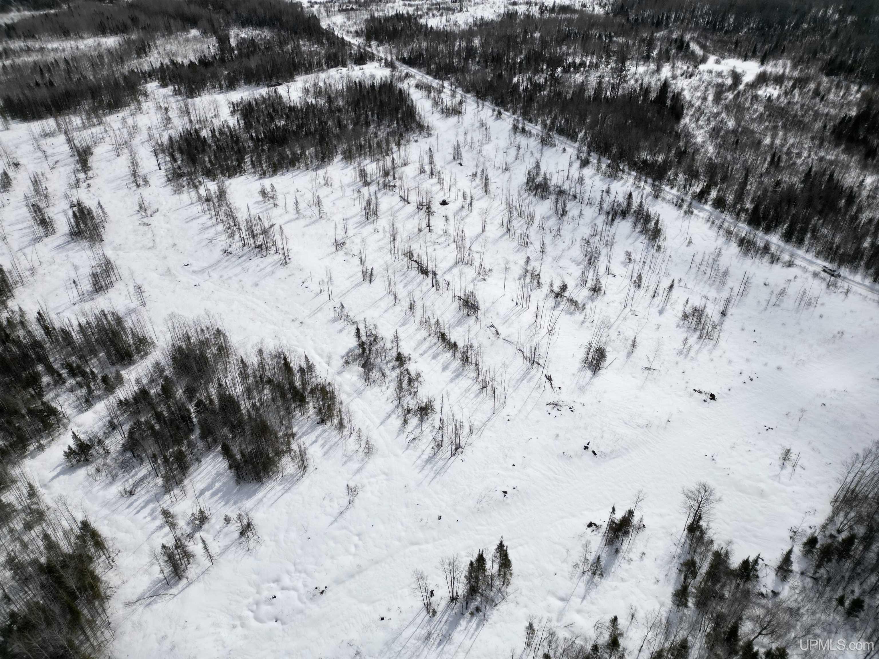 TBD N Rock 38th Rd Sw 40 Road, Rock, MI, 49880