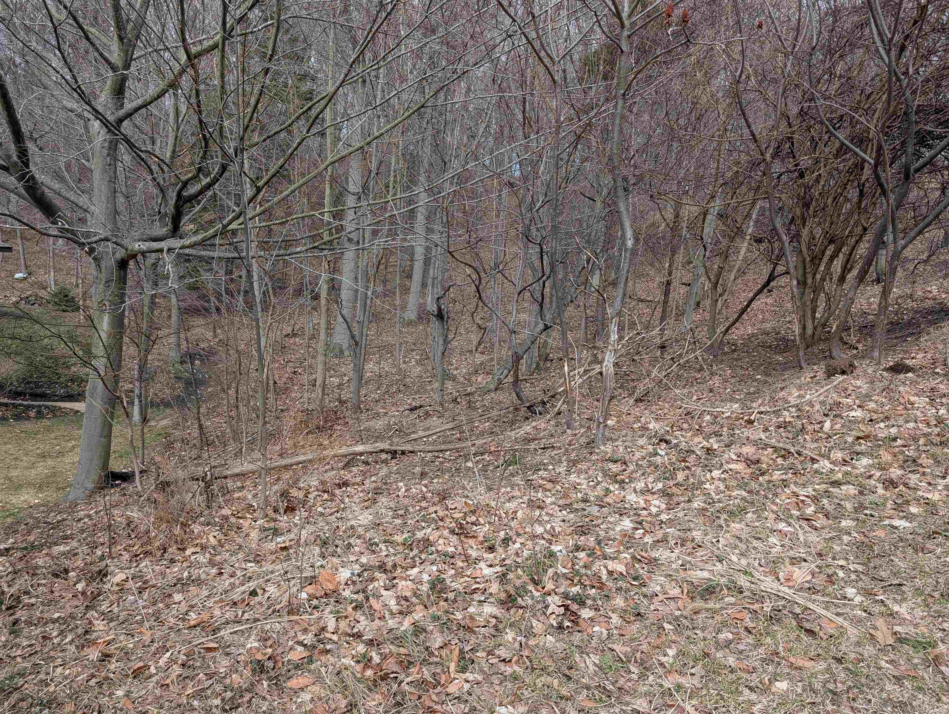 6625 Forest Beach Drive, Holland, MI, 49423