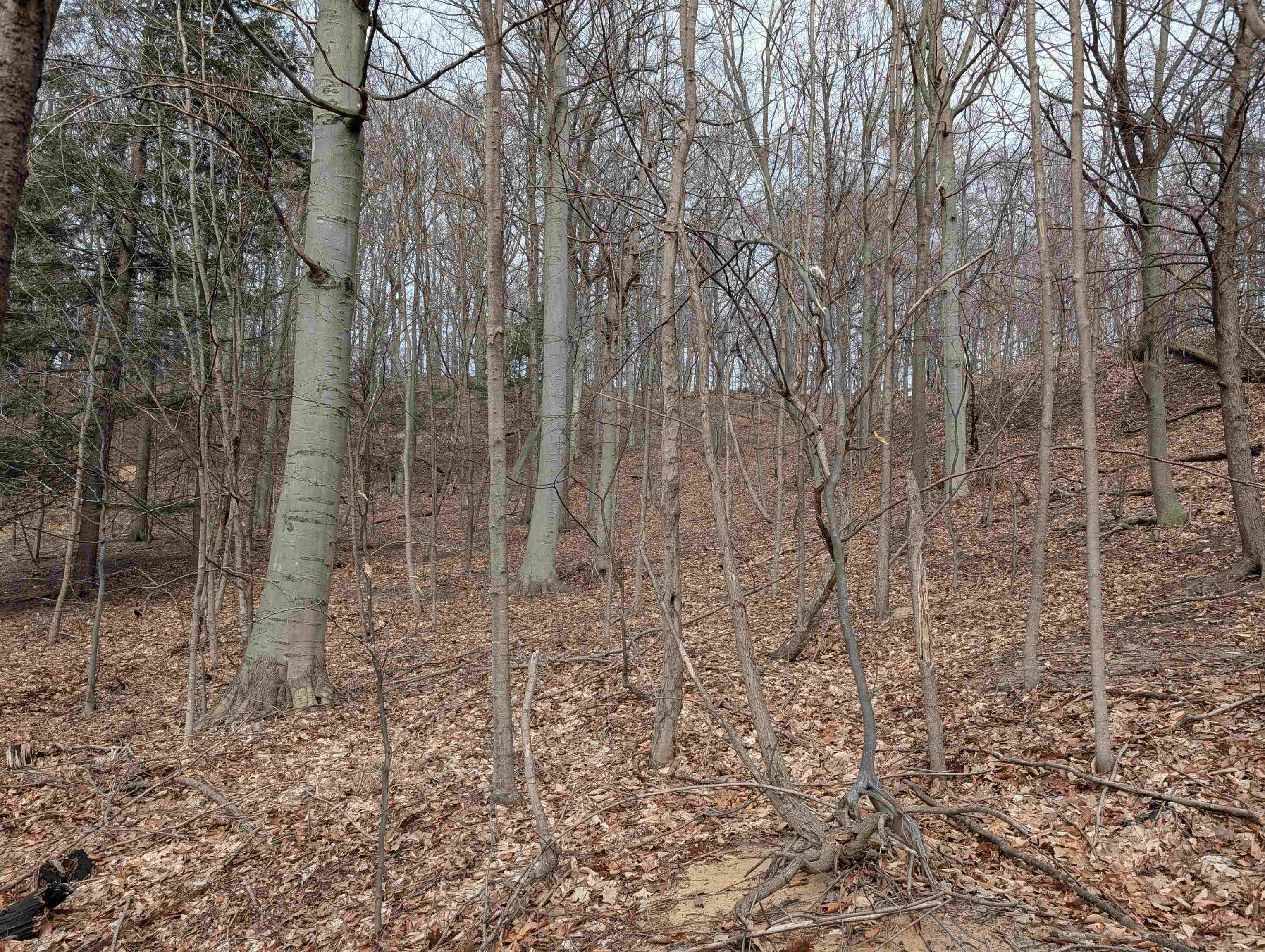 6625 Forest Beach Drive, Holland, MI, 49423