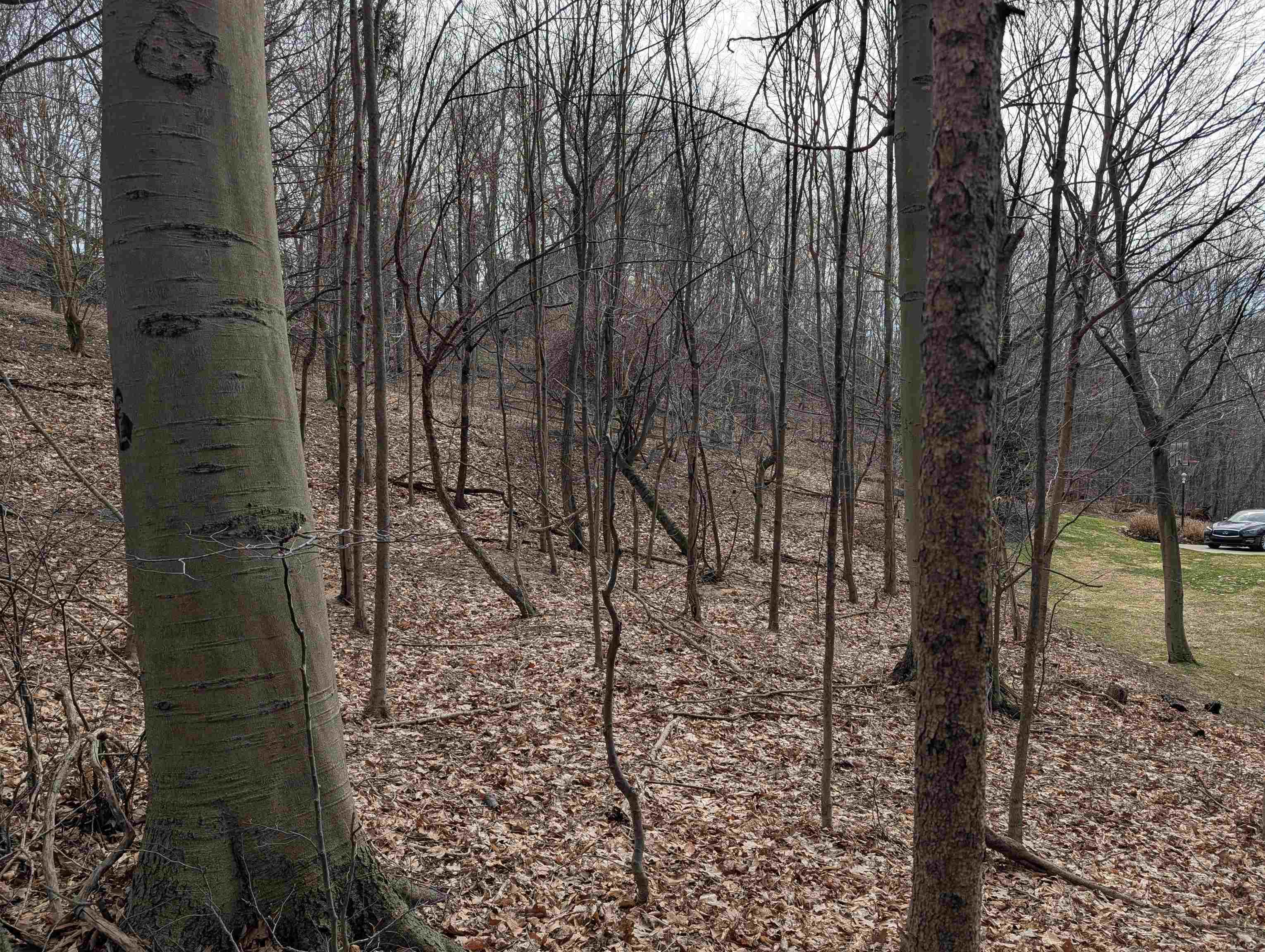 6625 Forest Beach Drive, Holland, MI, 49423