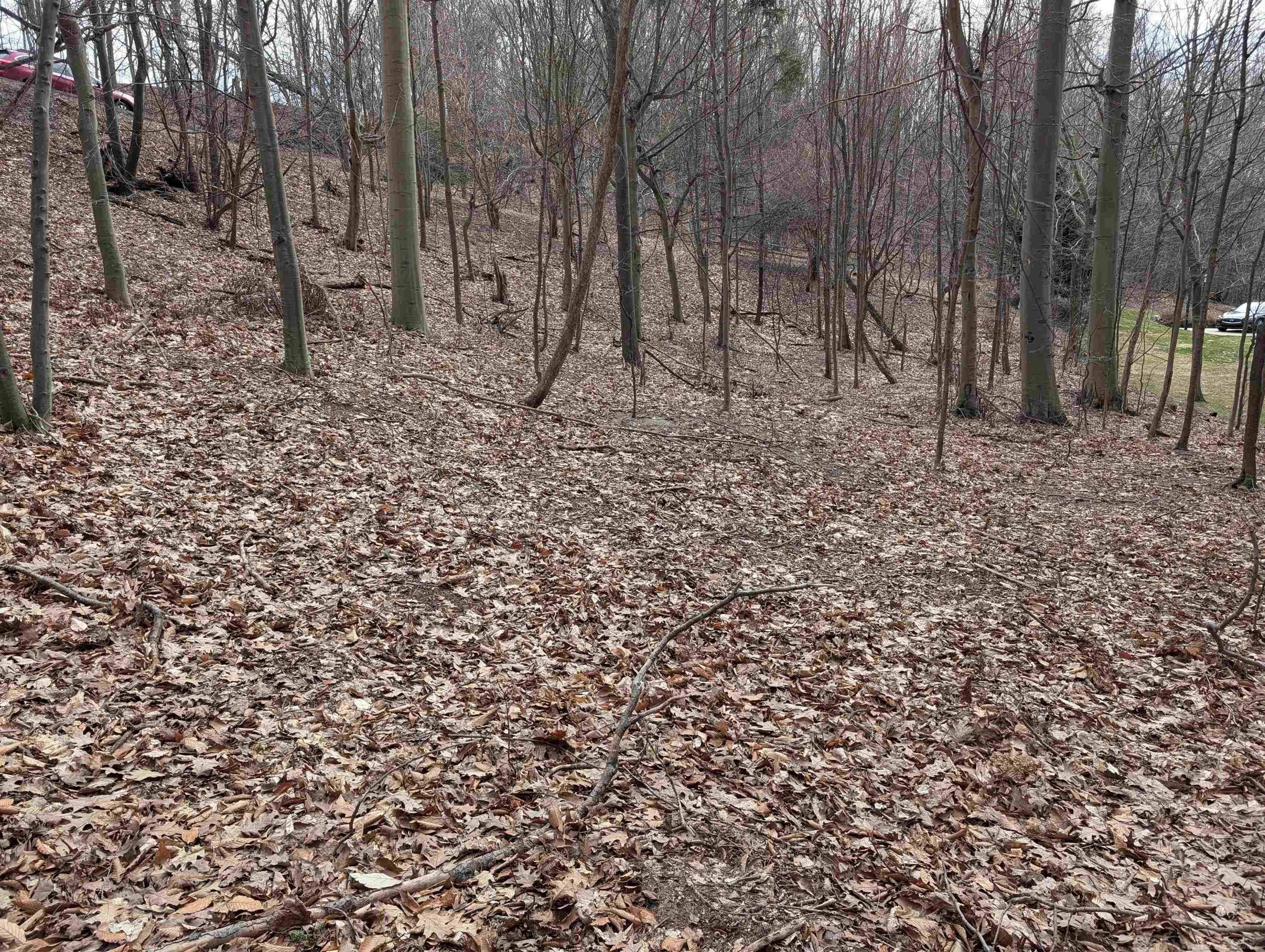 6625 Forest Beach Drive, Holland, MI, 49423