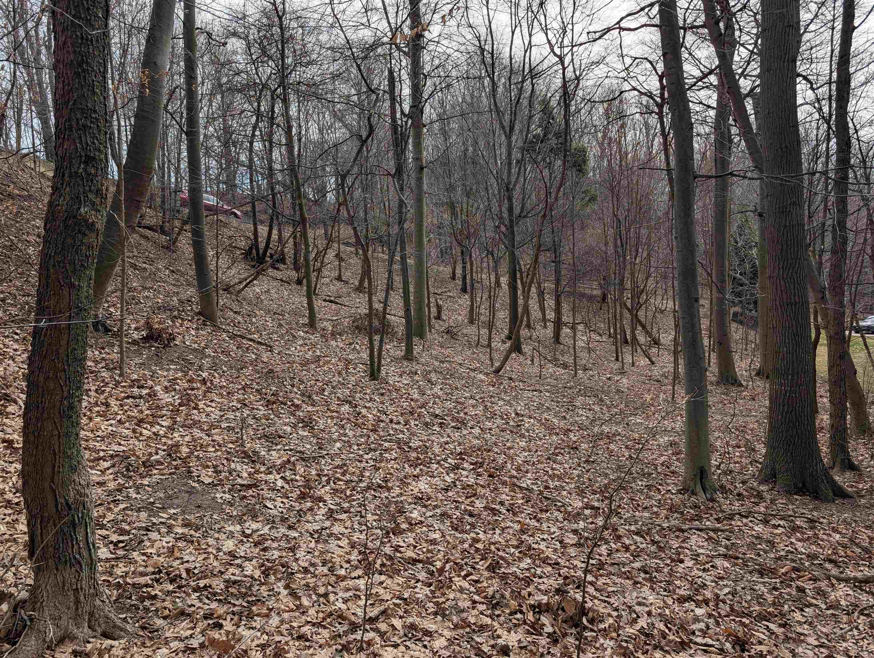 6625 Forest Beach Drive, Holland, MI, 49423