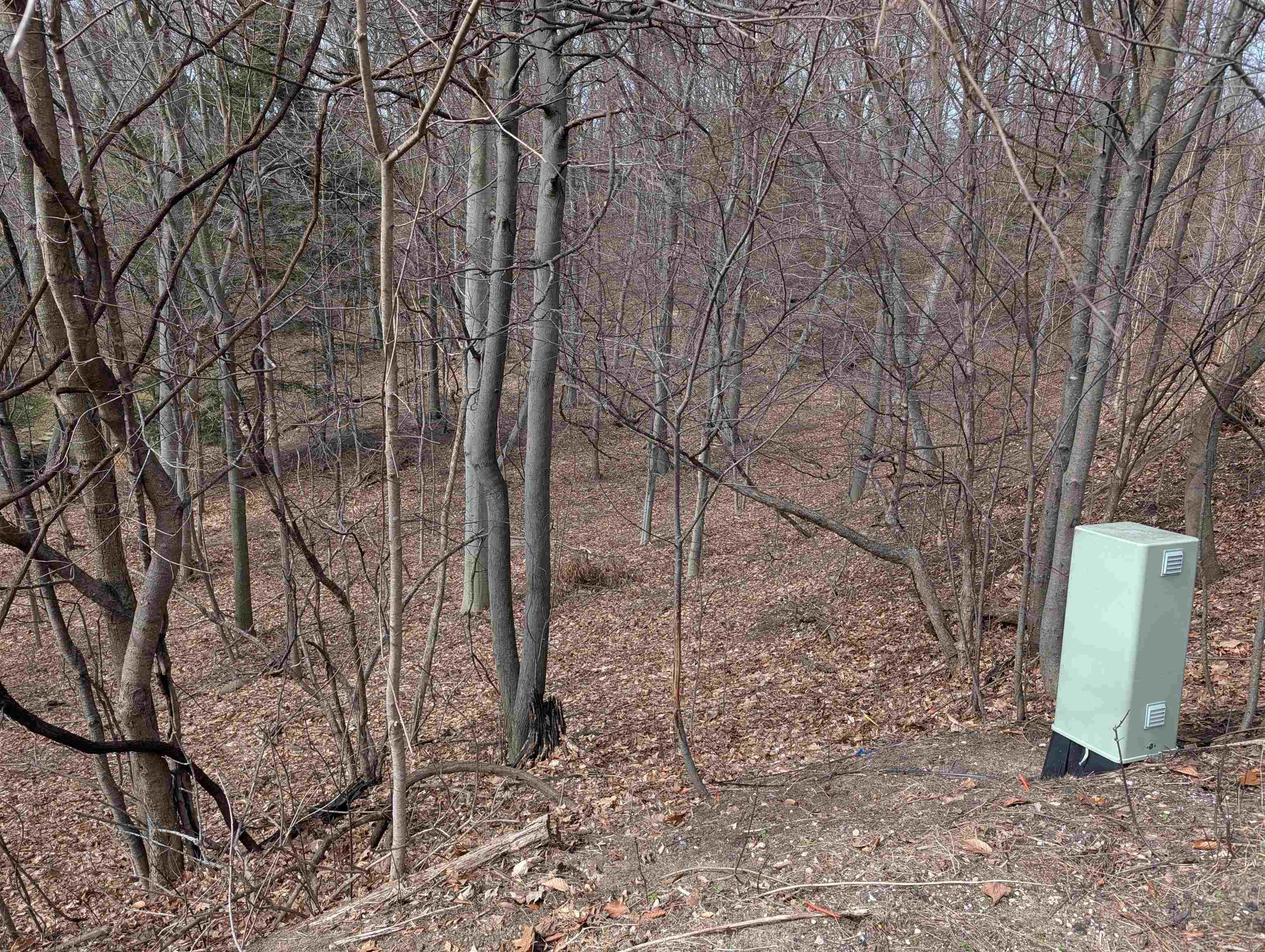 6625 Forest Beach Drive, Holland, MI, 49423