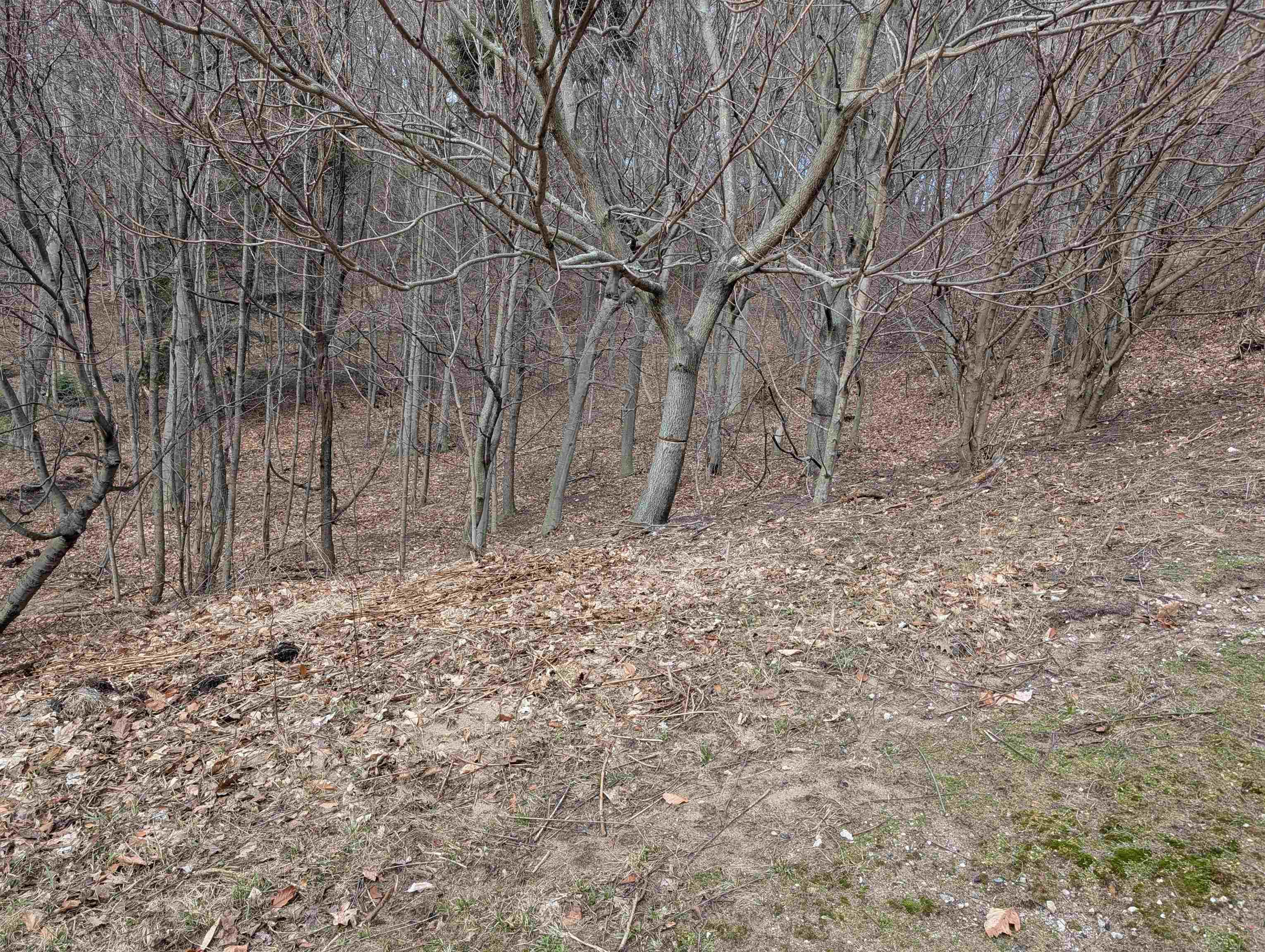 6625 Forest Beach Drive, Holland, MI, 49423