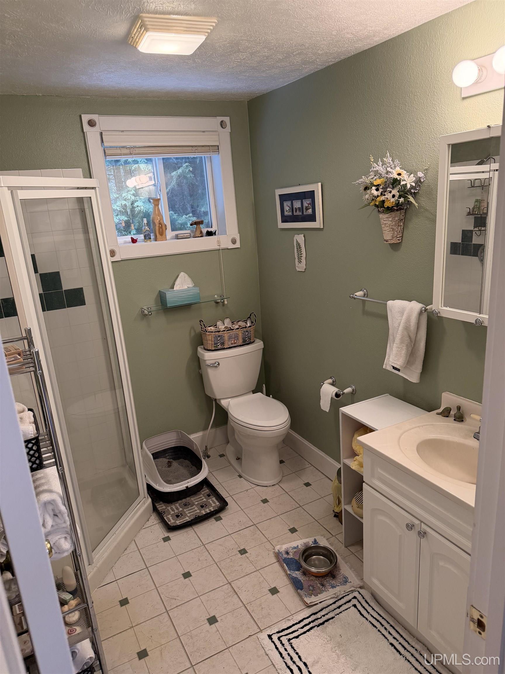 208 E Onota Street, Munising, MI, 49862