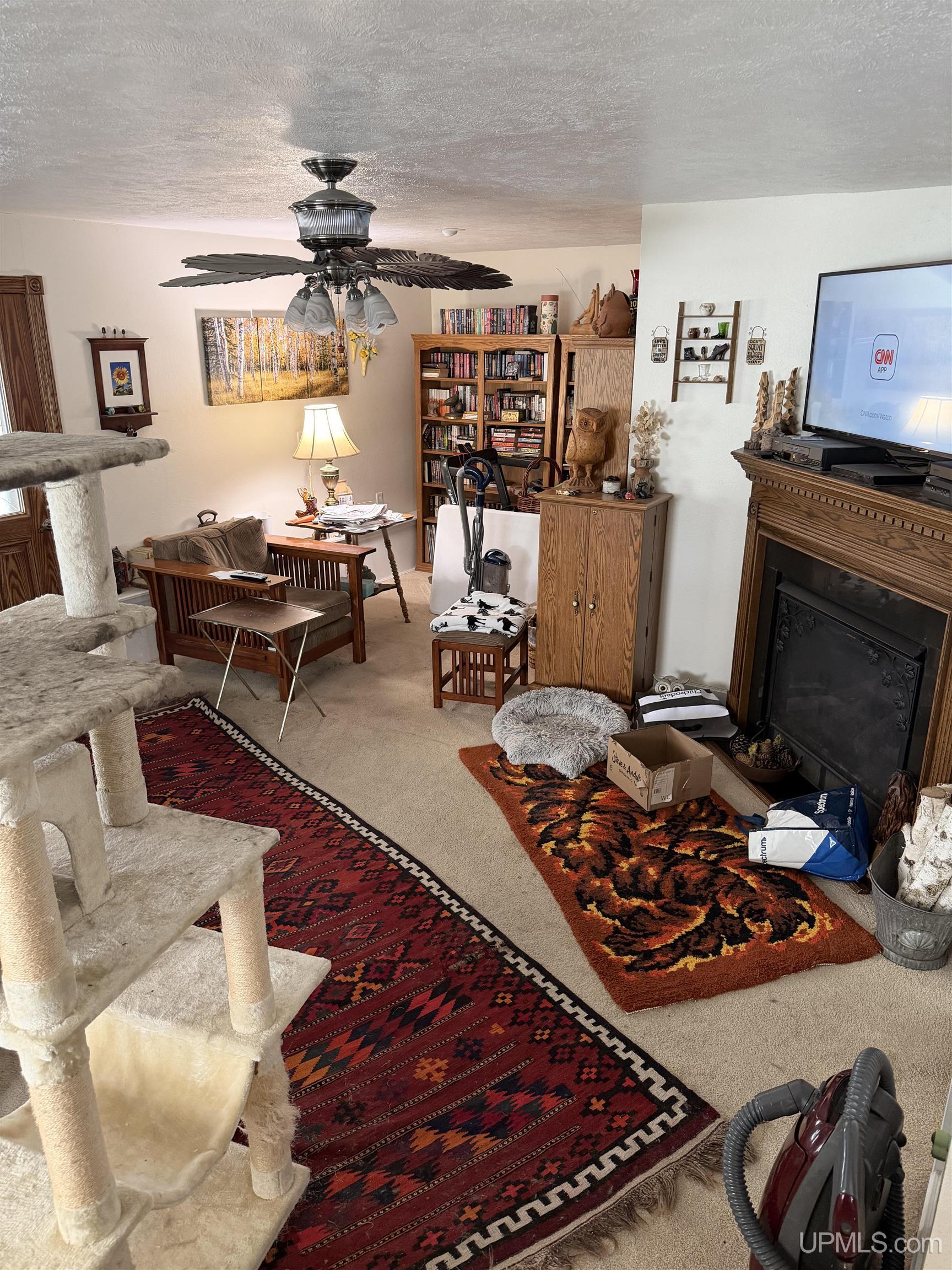 208 E Onota Street, Munising, MI, 49862