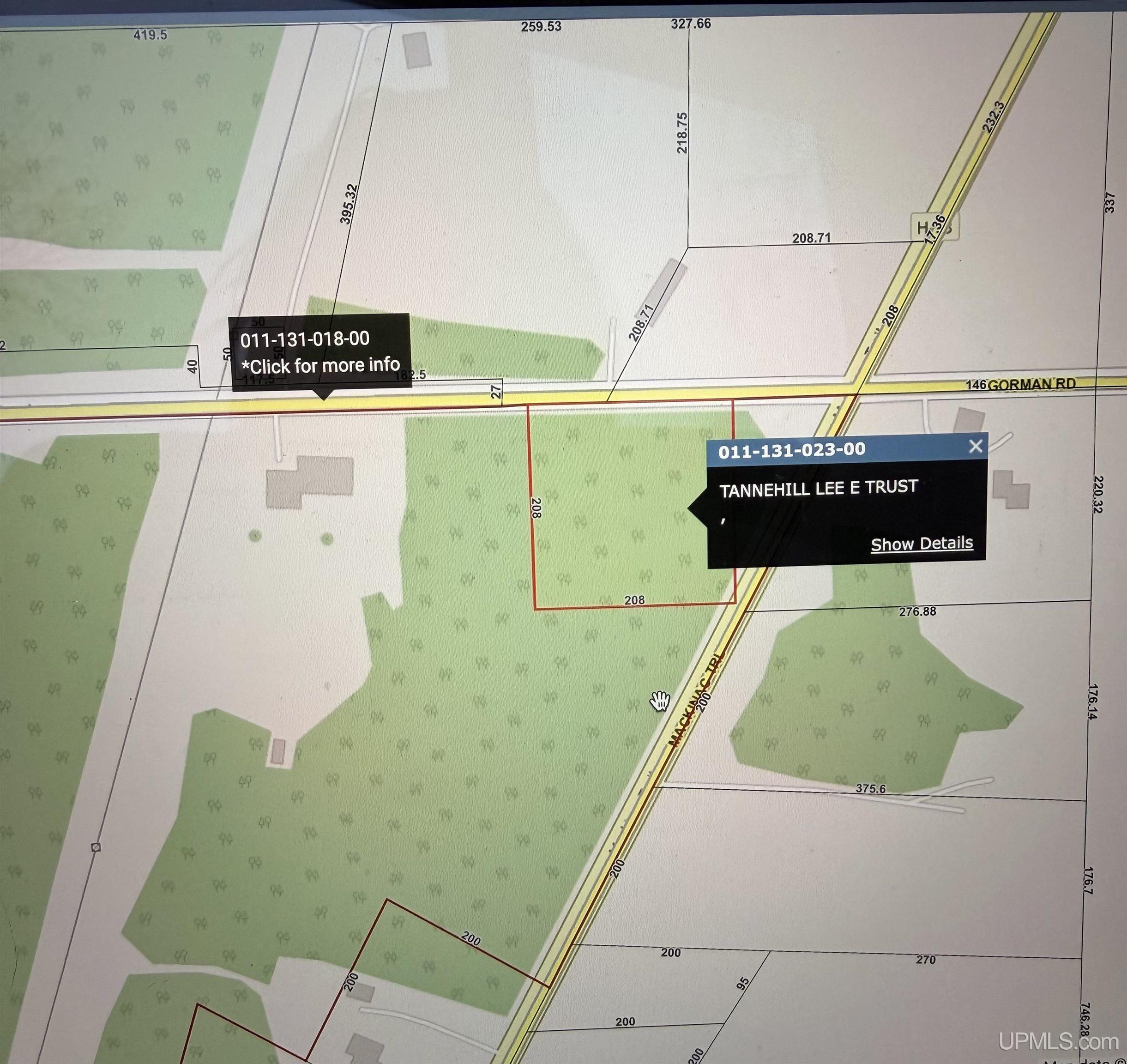 TBD Moran Road, Moran, MI, 49760