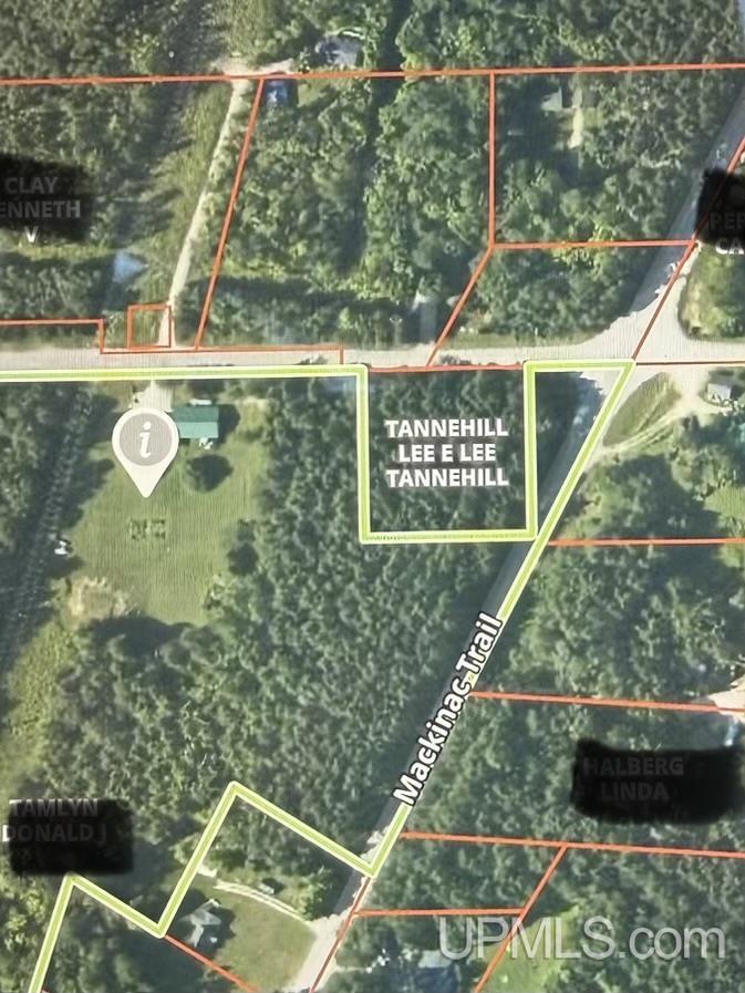 TBD Moran Road, Moran, MI, 49760