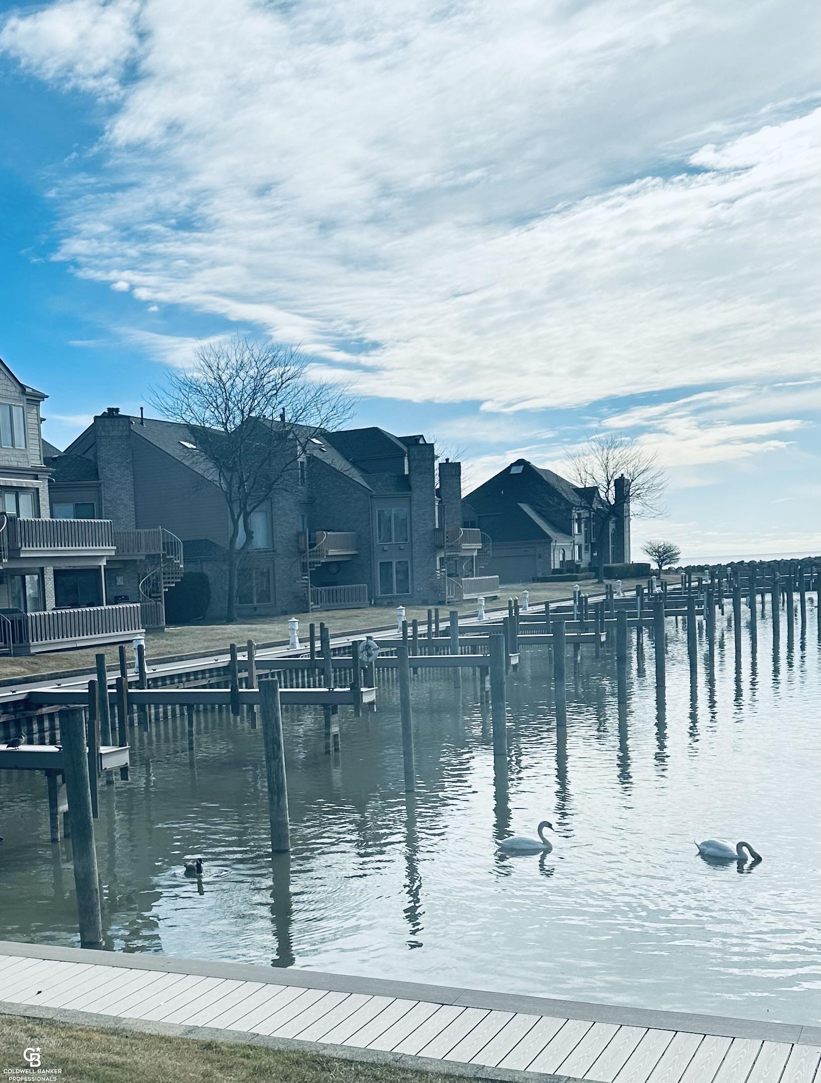 26301 Harbour Pointe Dr N Drive, Harrison Twp, MI, 48045-3298